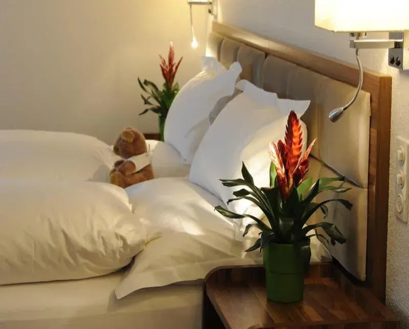 Double Room in Falken am Rotsee Double Room in Falken am Rotsee