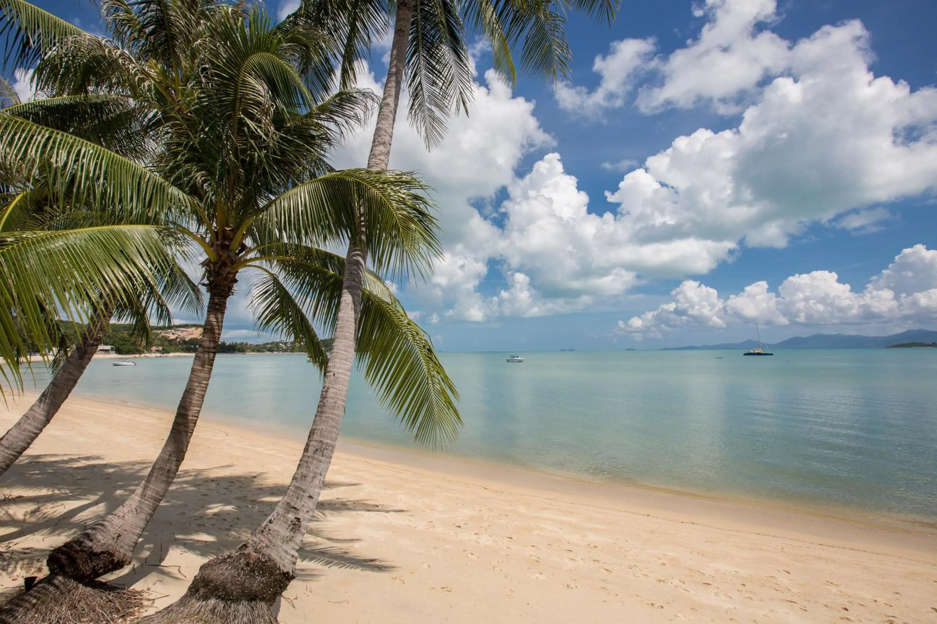 View (from property/room) in Tembo Beach Club & Resort