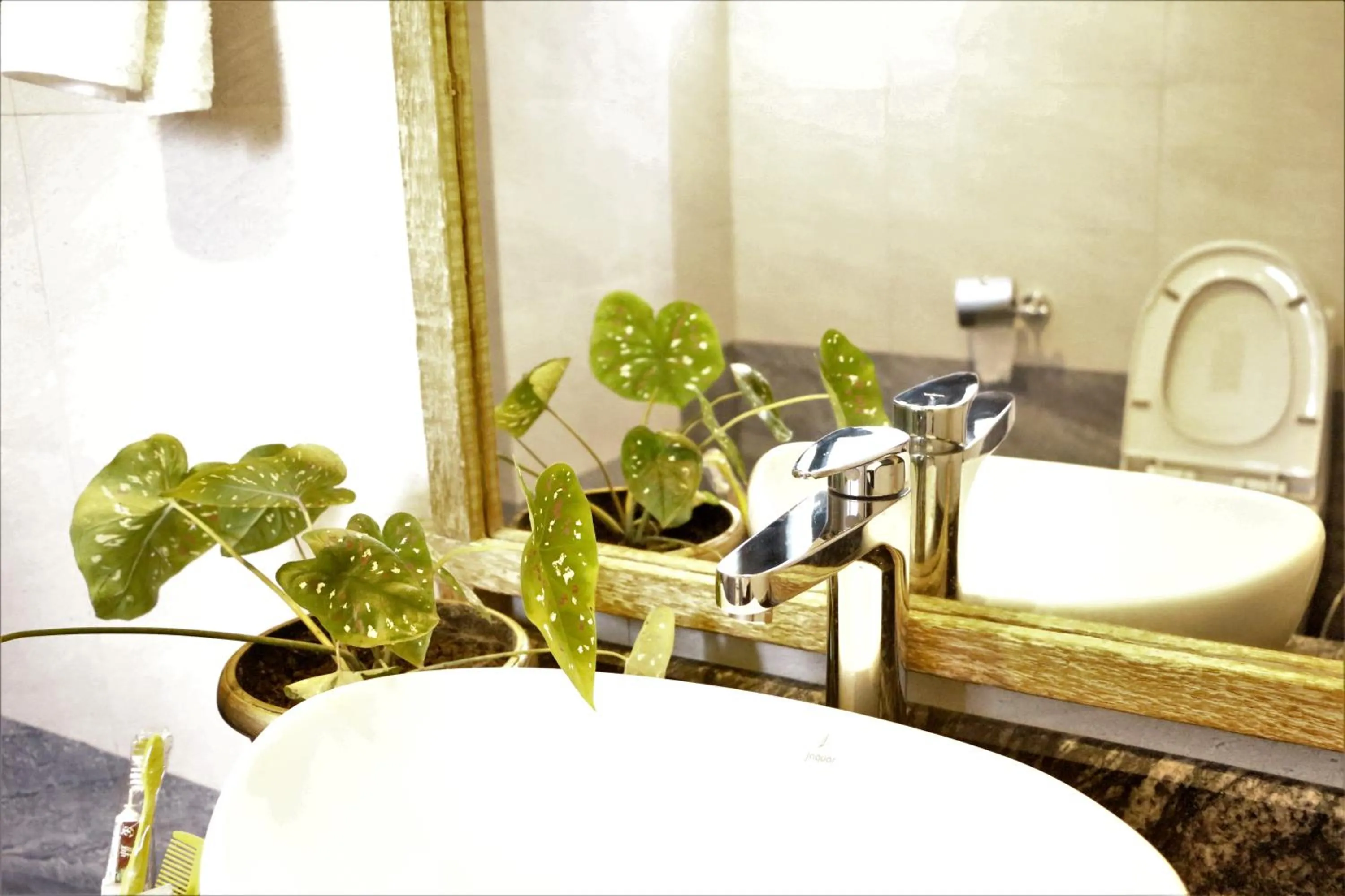 Bathroom in Hotel Mera Peak Private Limited