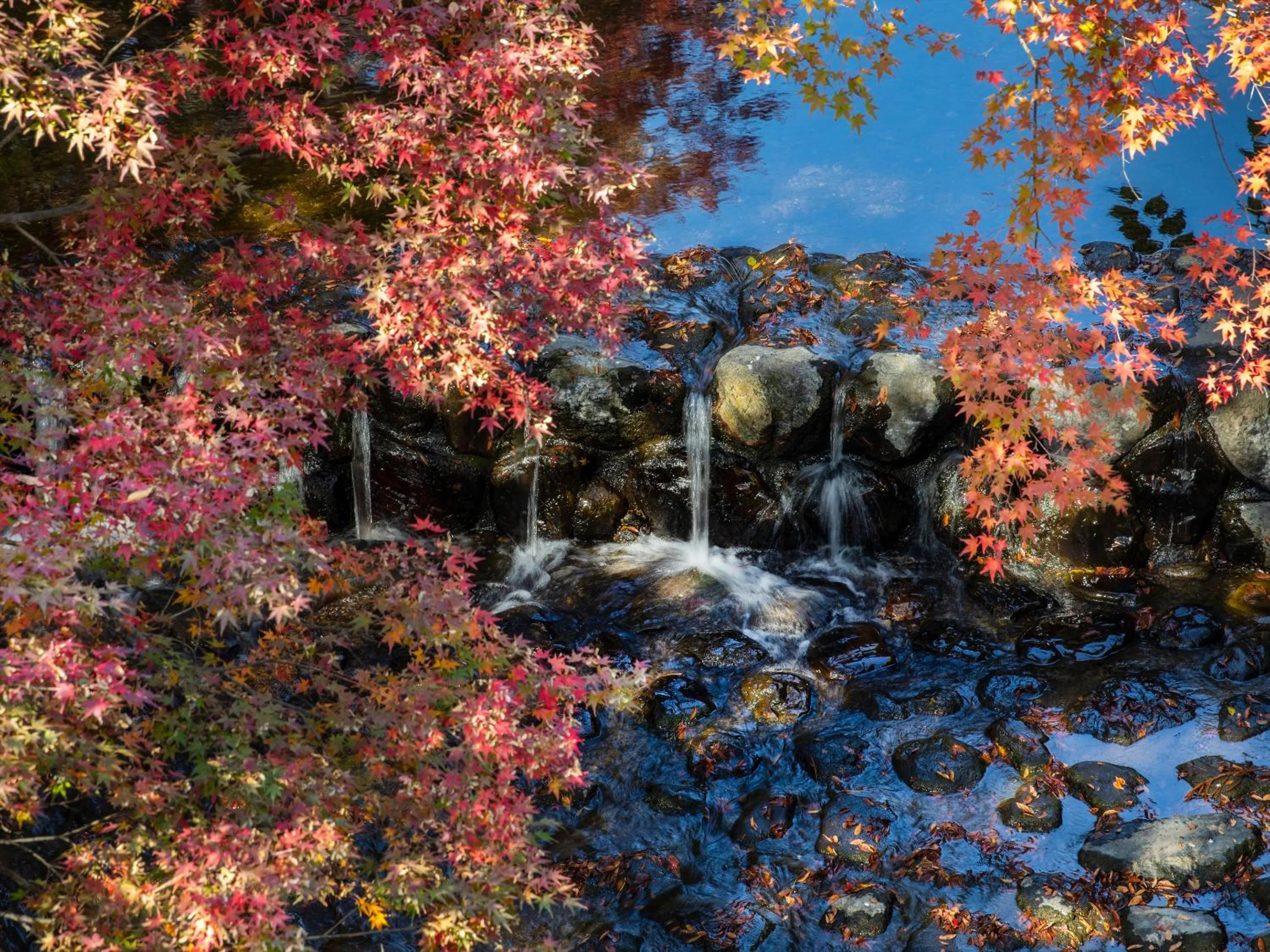 Natural landscape in ROKU KYOTO, LXR Hotels & Resorts by Hilton