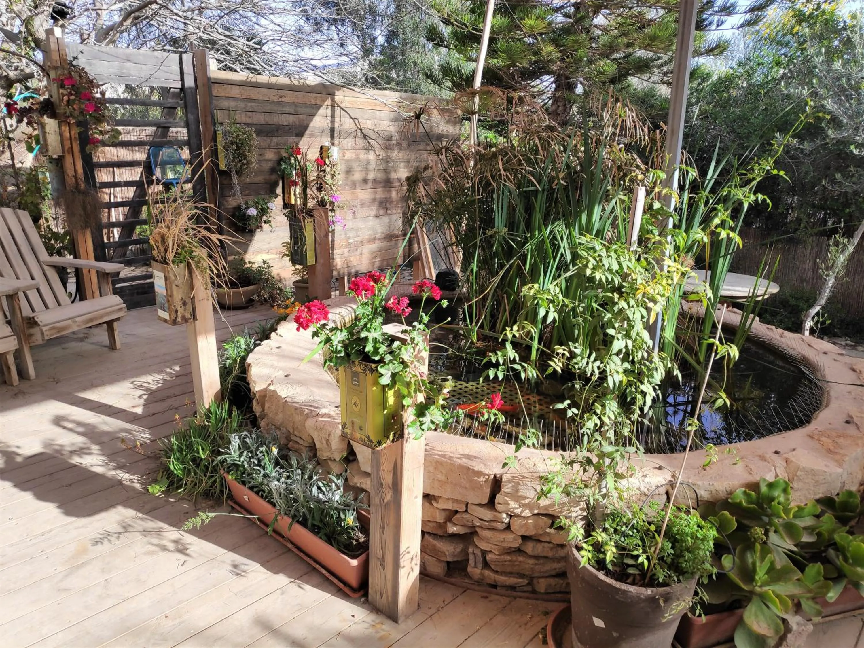 Garden in Krivine B&B