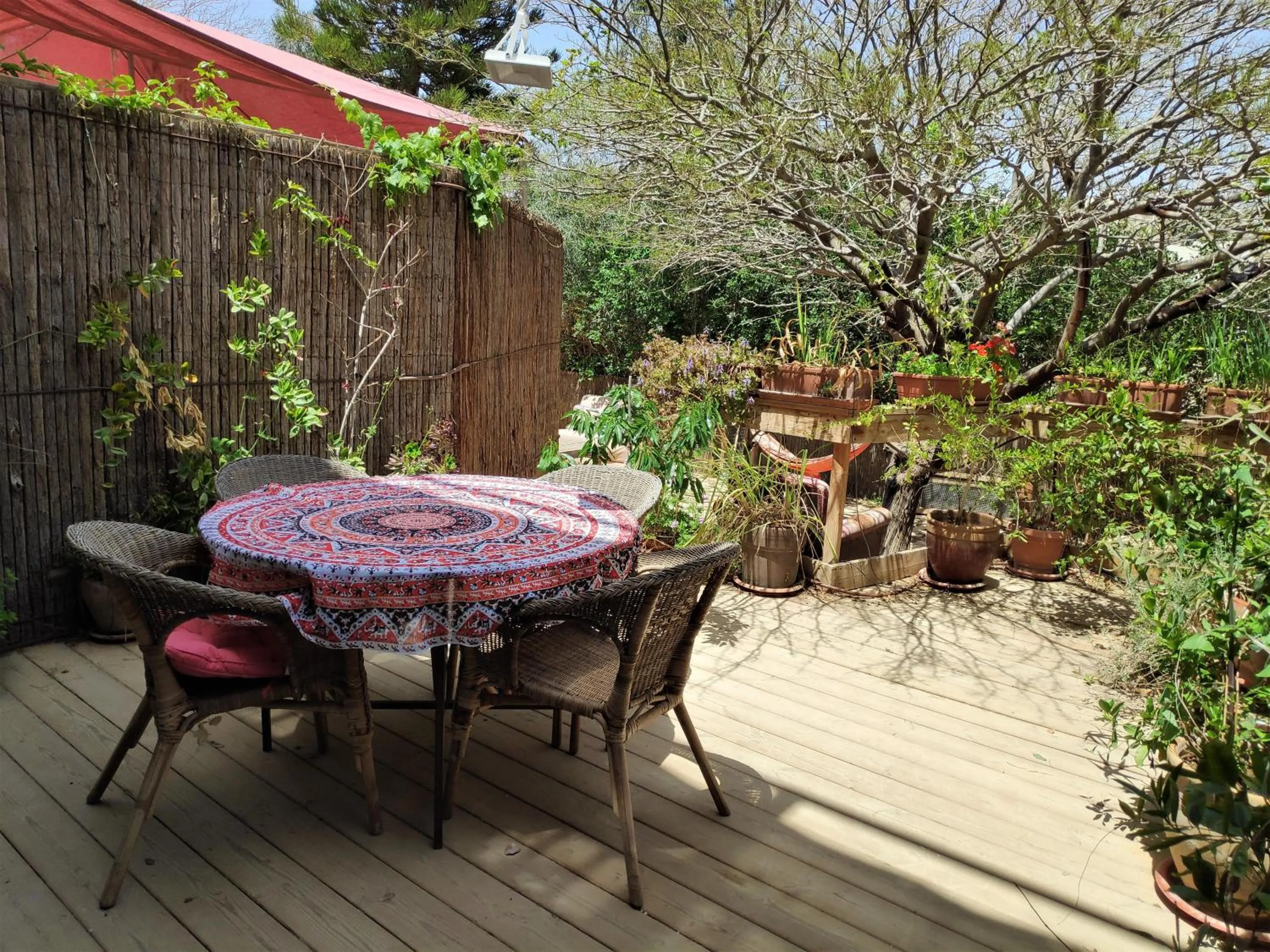 Garden in Krivine B&B