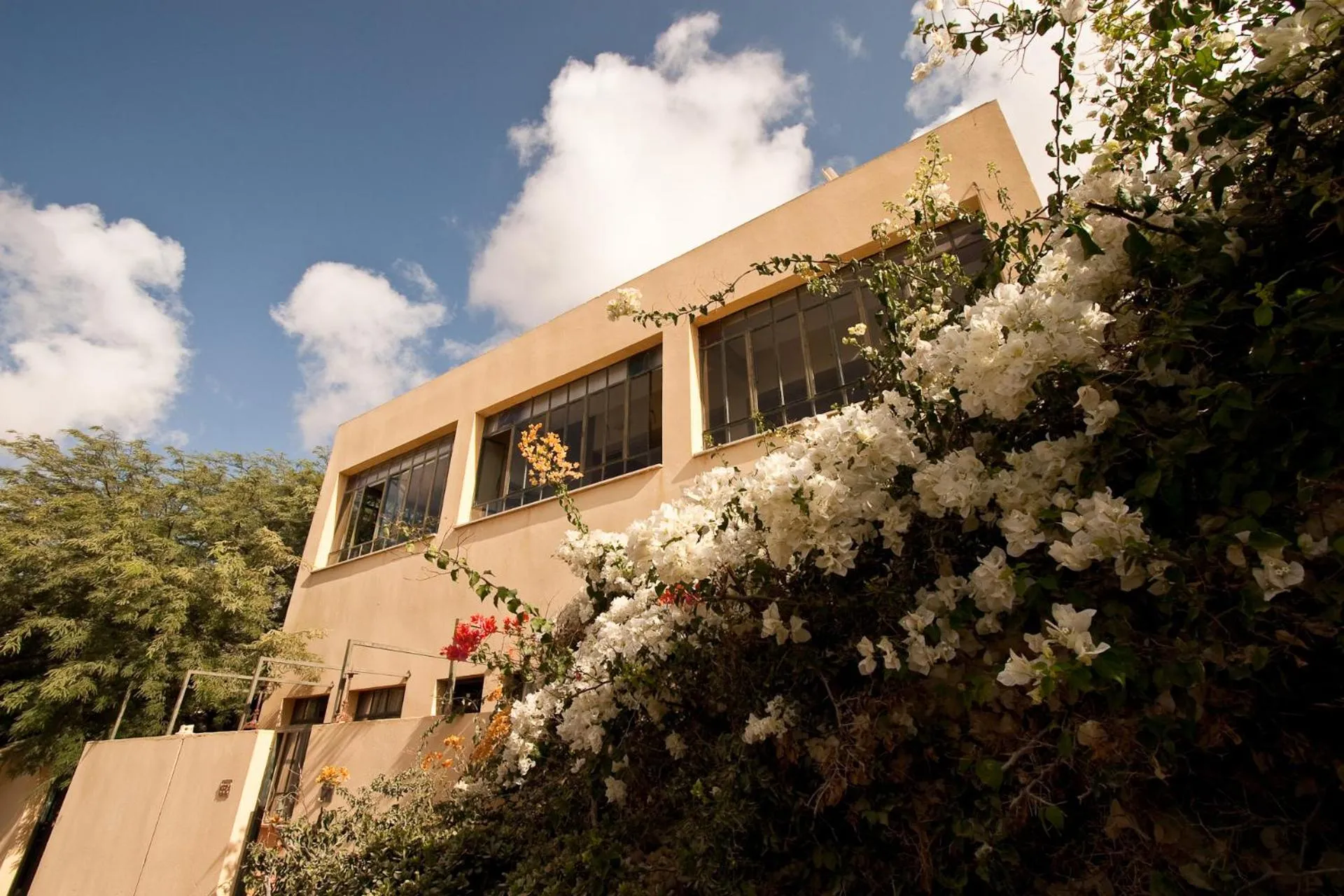 Facade/entrance in Krivine B&B