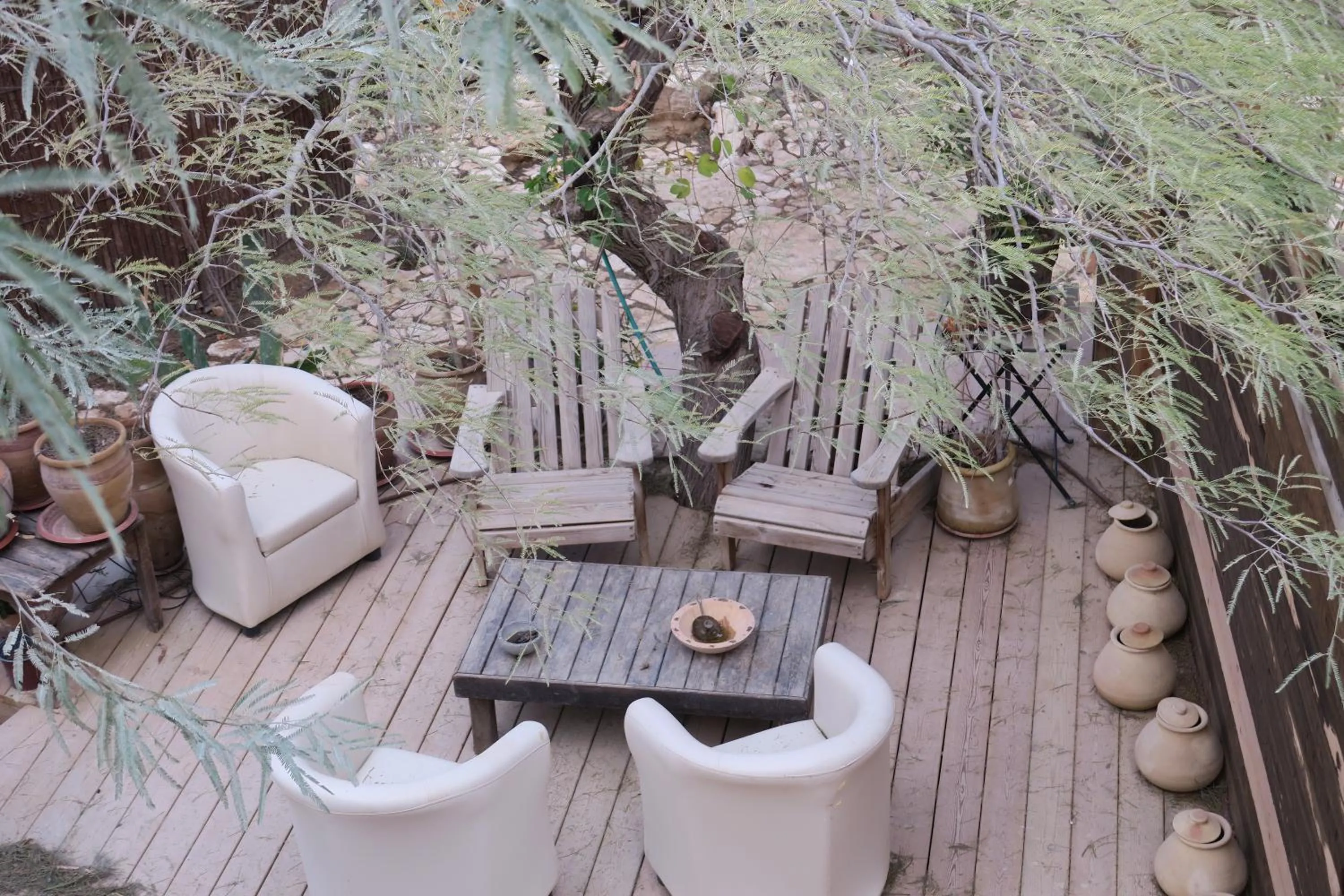 Garden in Krivine B&B