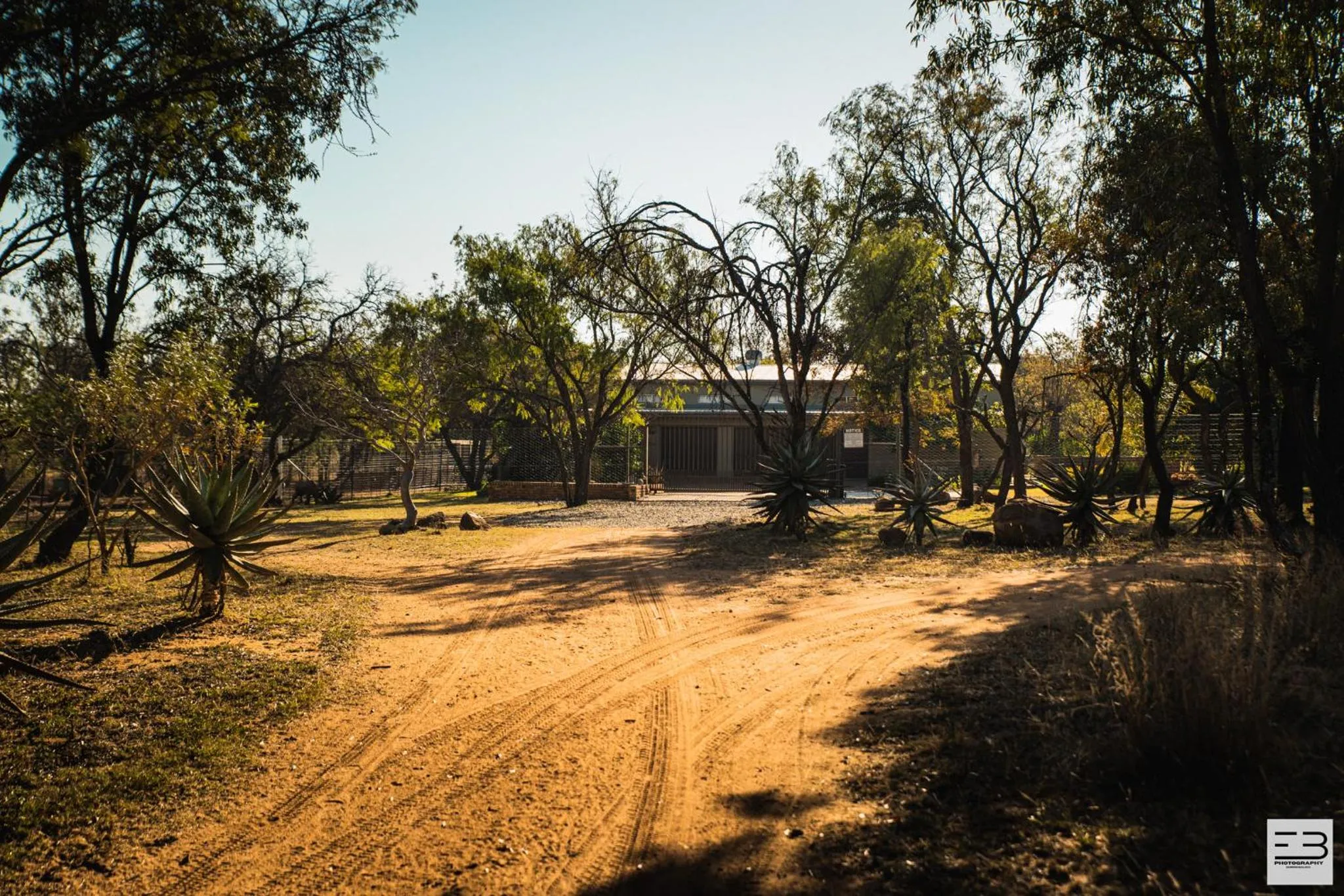 Natural landscape in Geluksfontein Private Game Farm