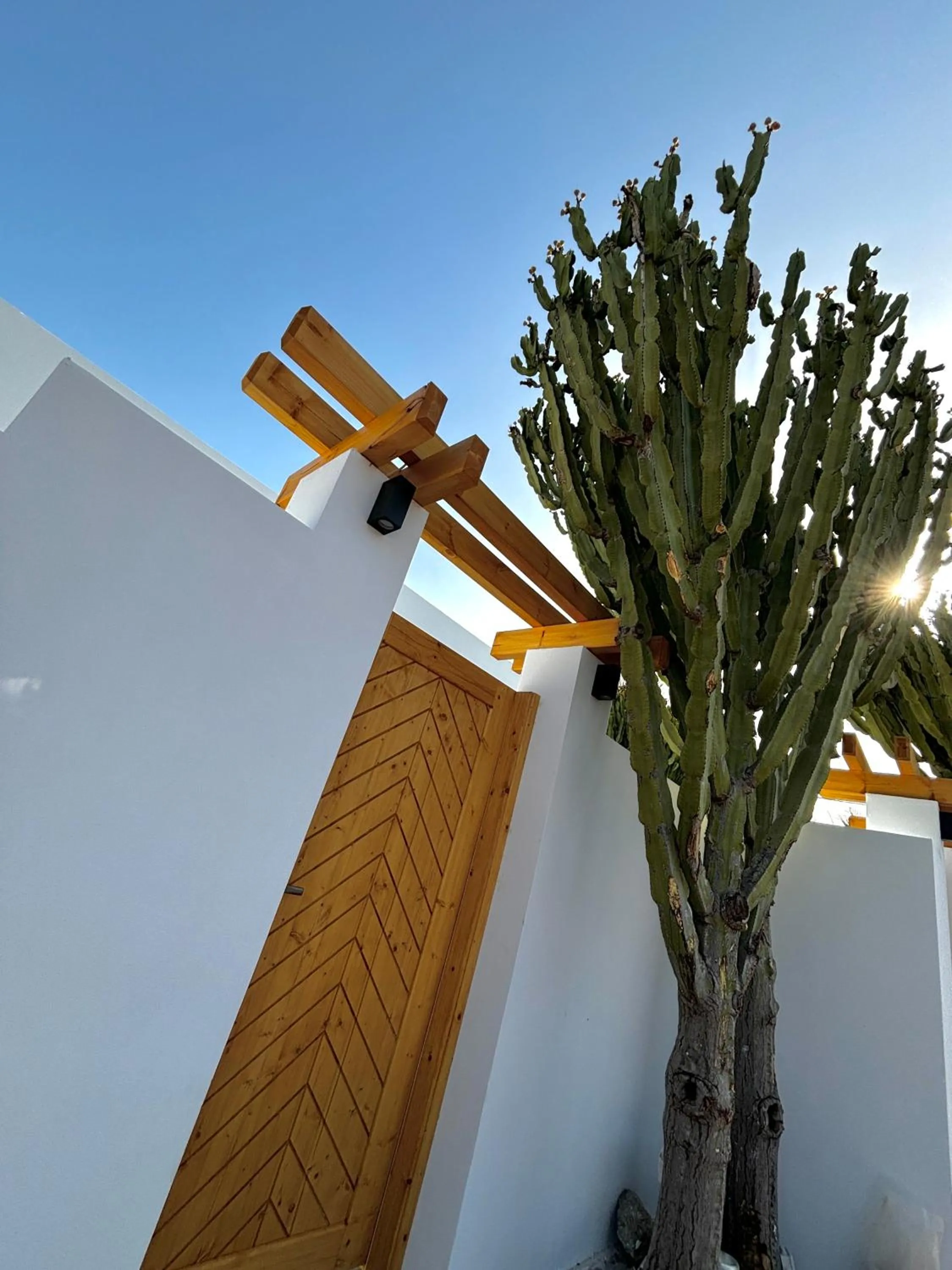 Cactus Suites
