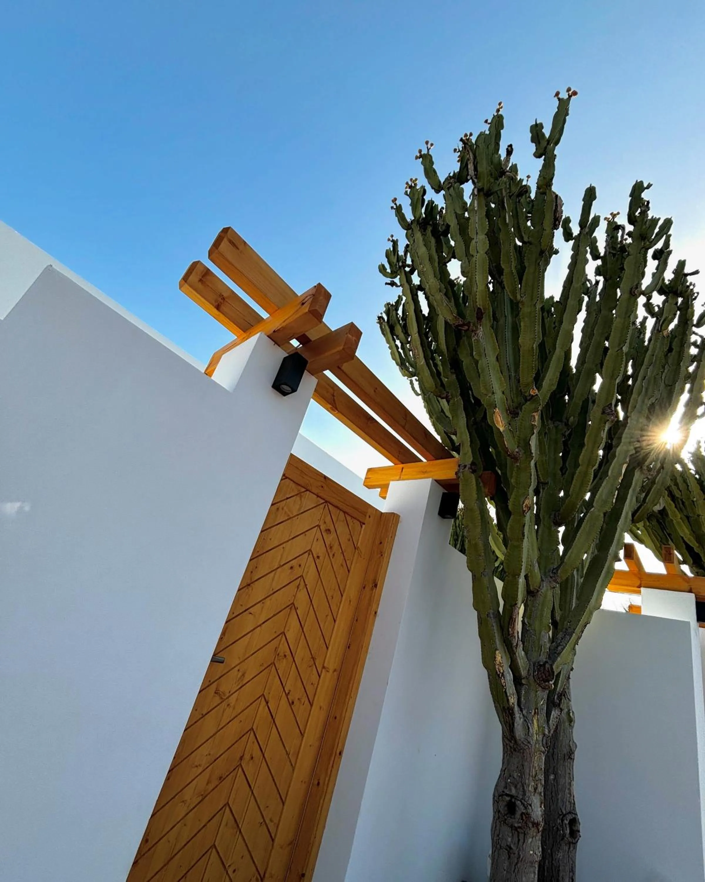 Cactus Suites