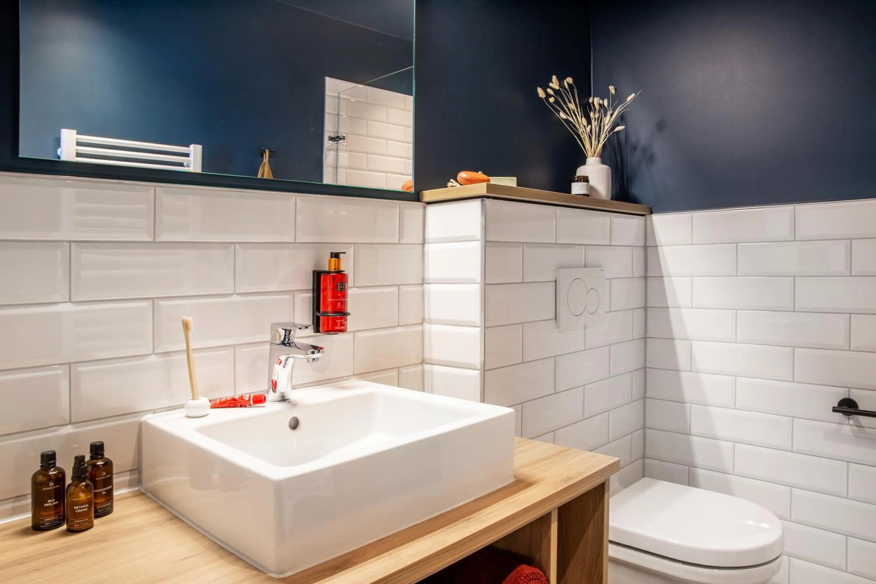 Bathroom in ipartment Braunschweig