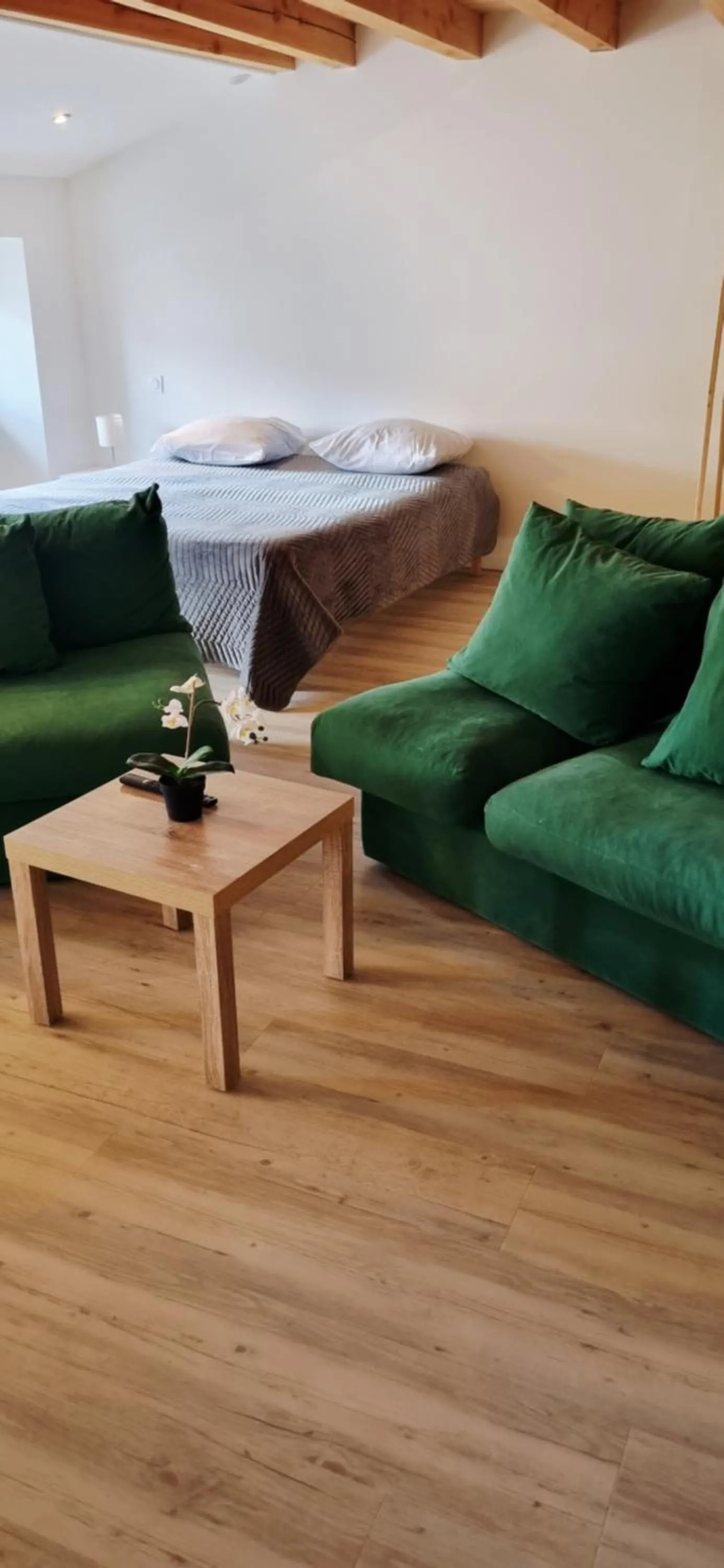 Family Room with Private Bathroom - single occupancy in Hôtel Restaurant La Terrasse