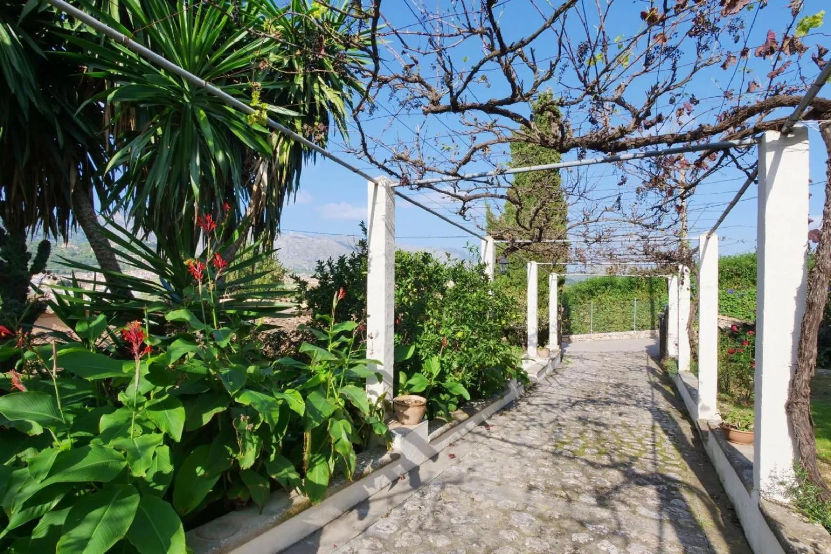 Property building in Can Moragues