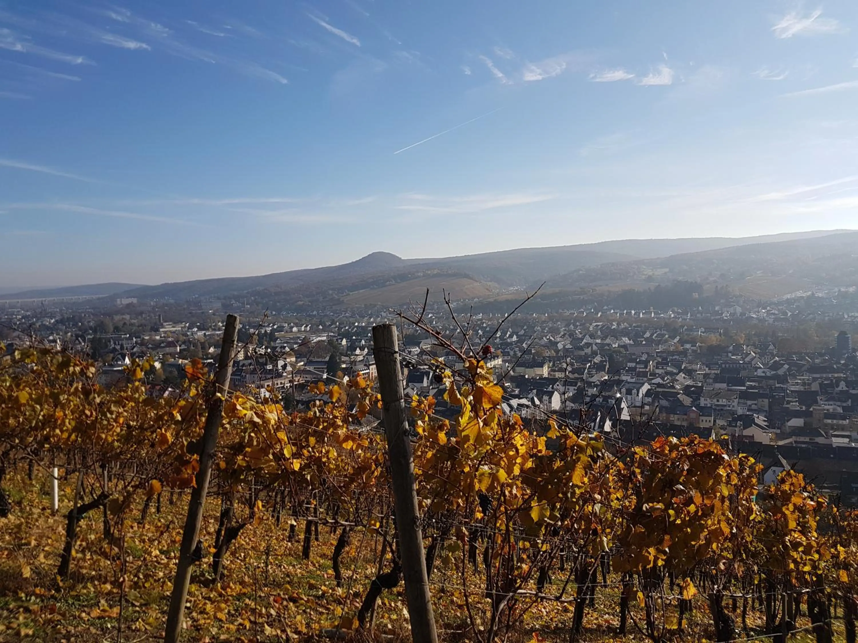 Natural landscape in Hotel Ännchen