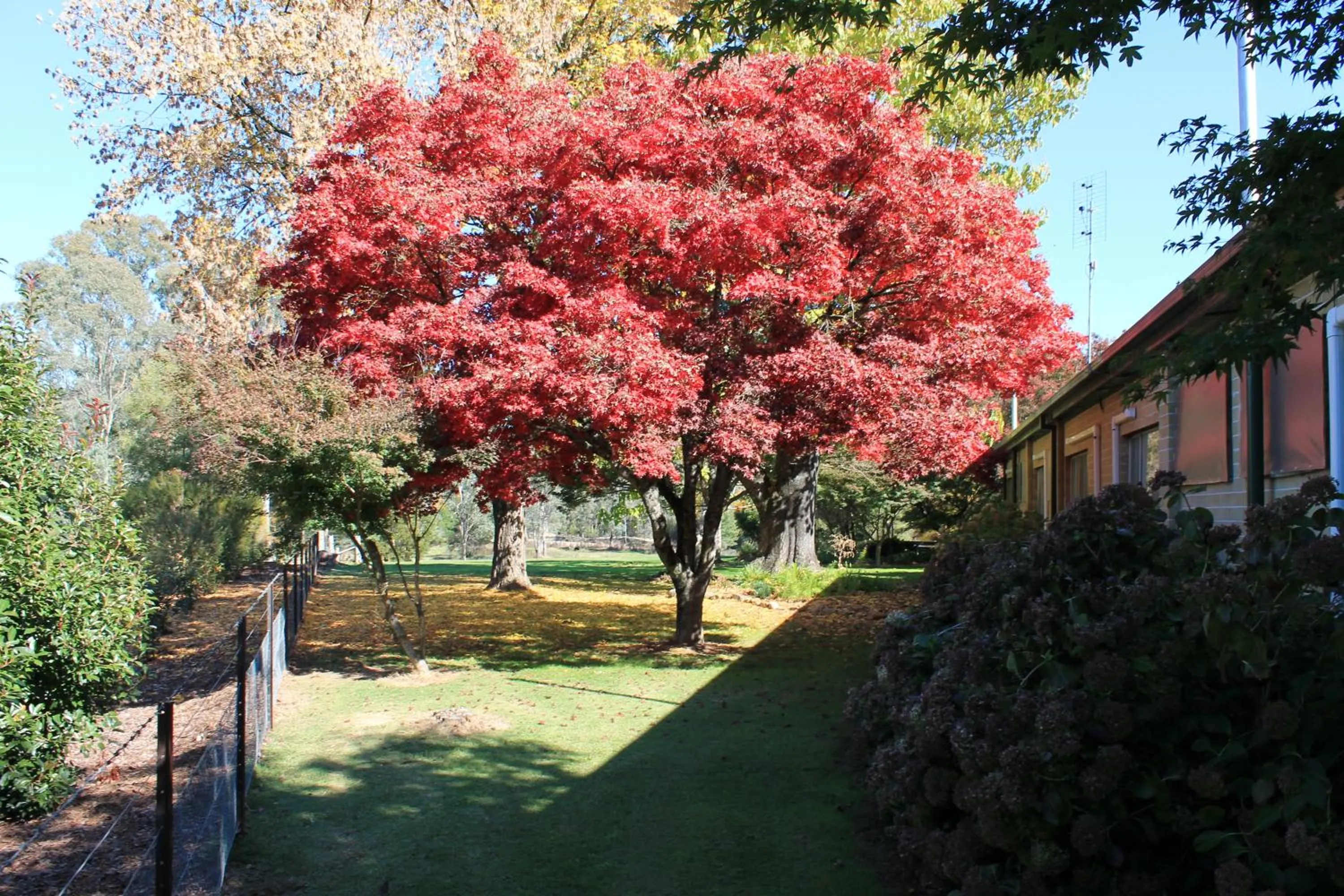 Garden in Buffalo Motel and Country Retreat