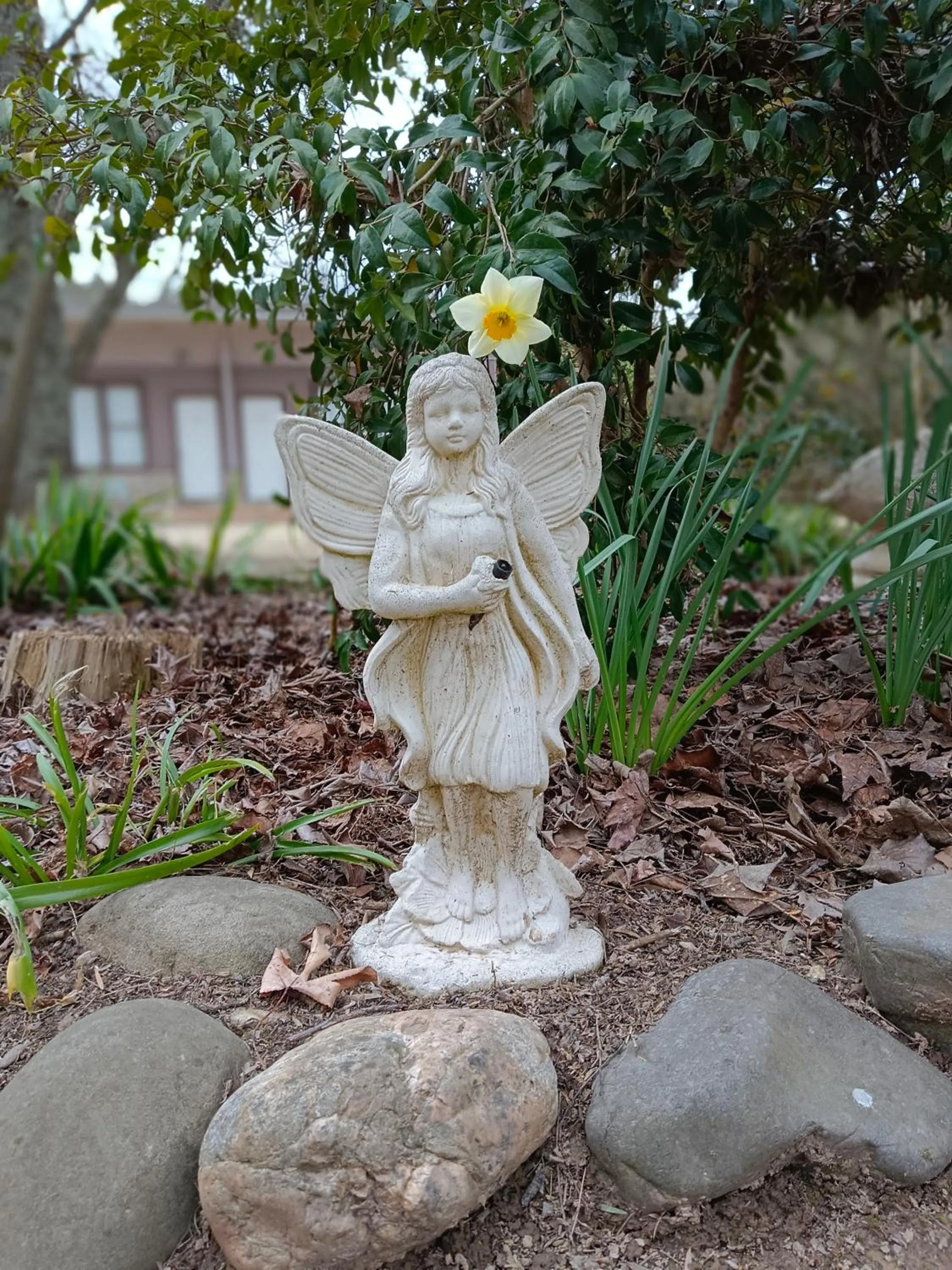 Garden in Buffalo Motel and Country Retreat