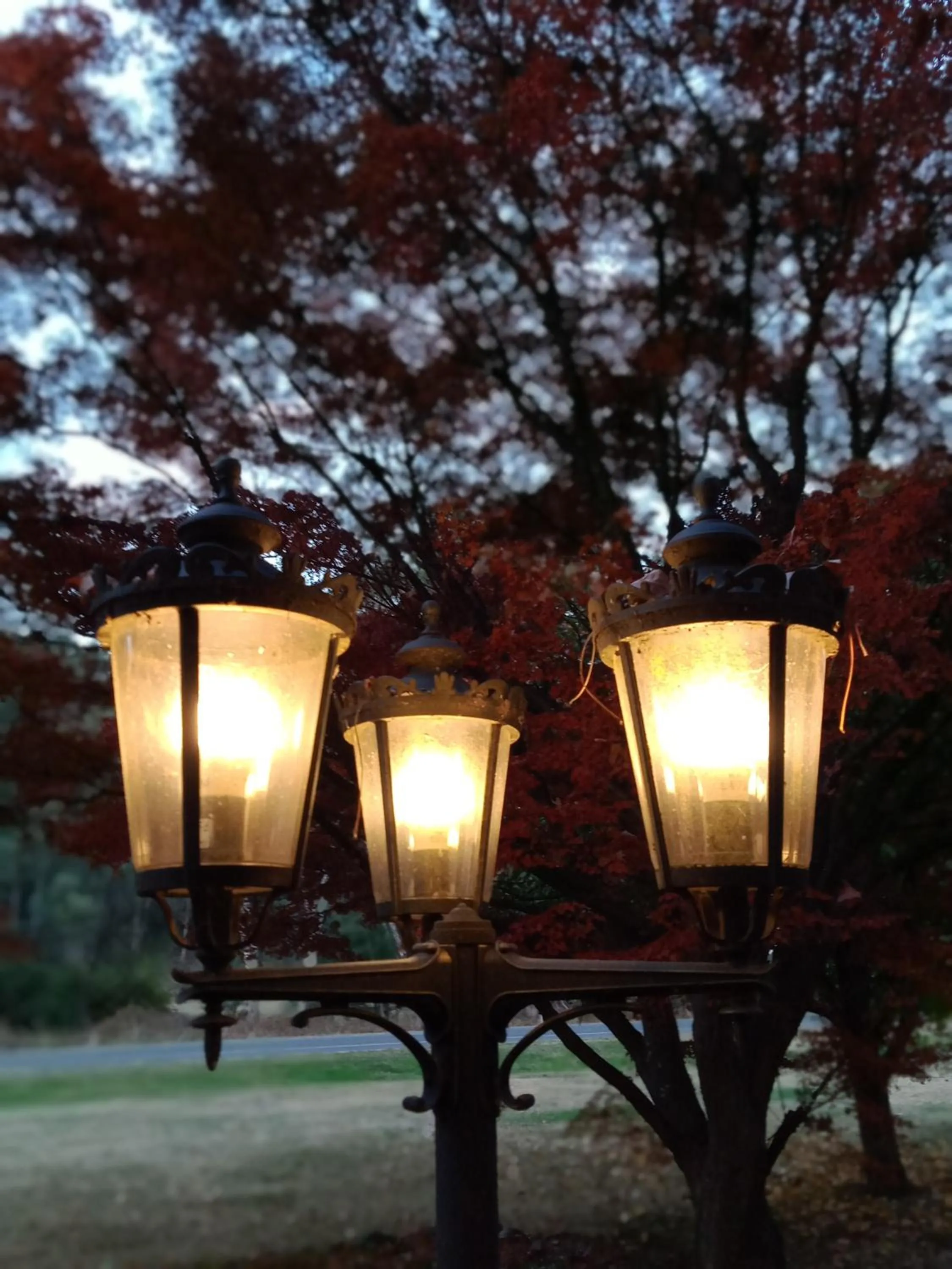 Buffalo Motel and Country Retreat