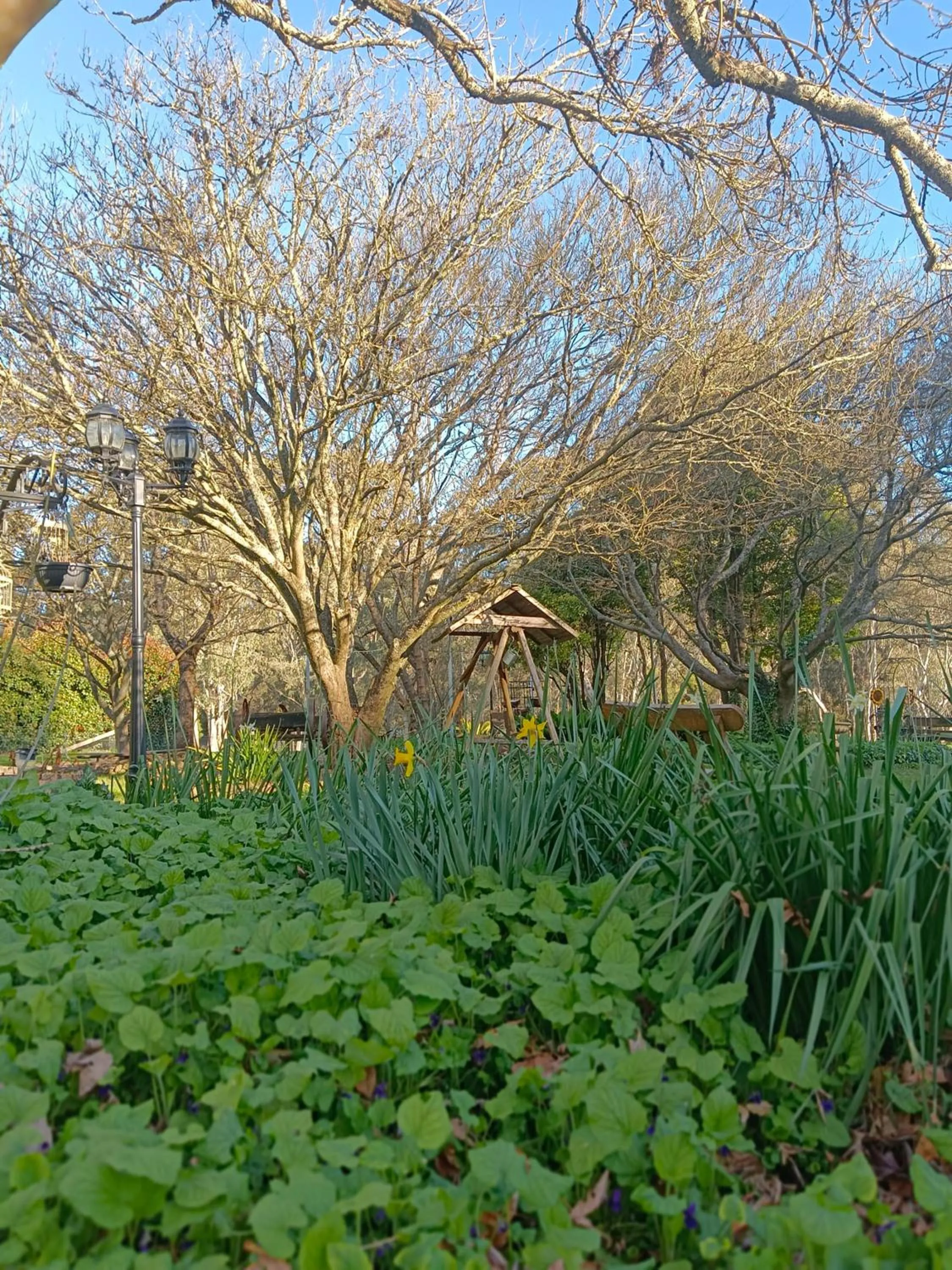 Garden in Buffalo Motel and Country Retreat