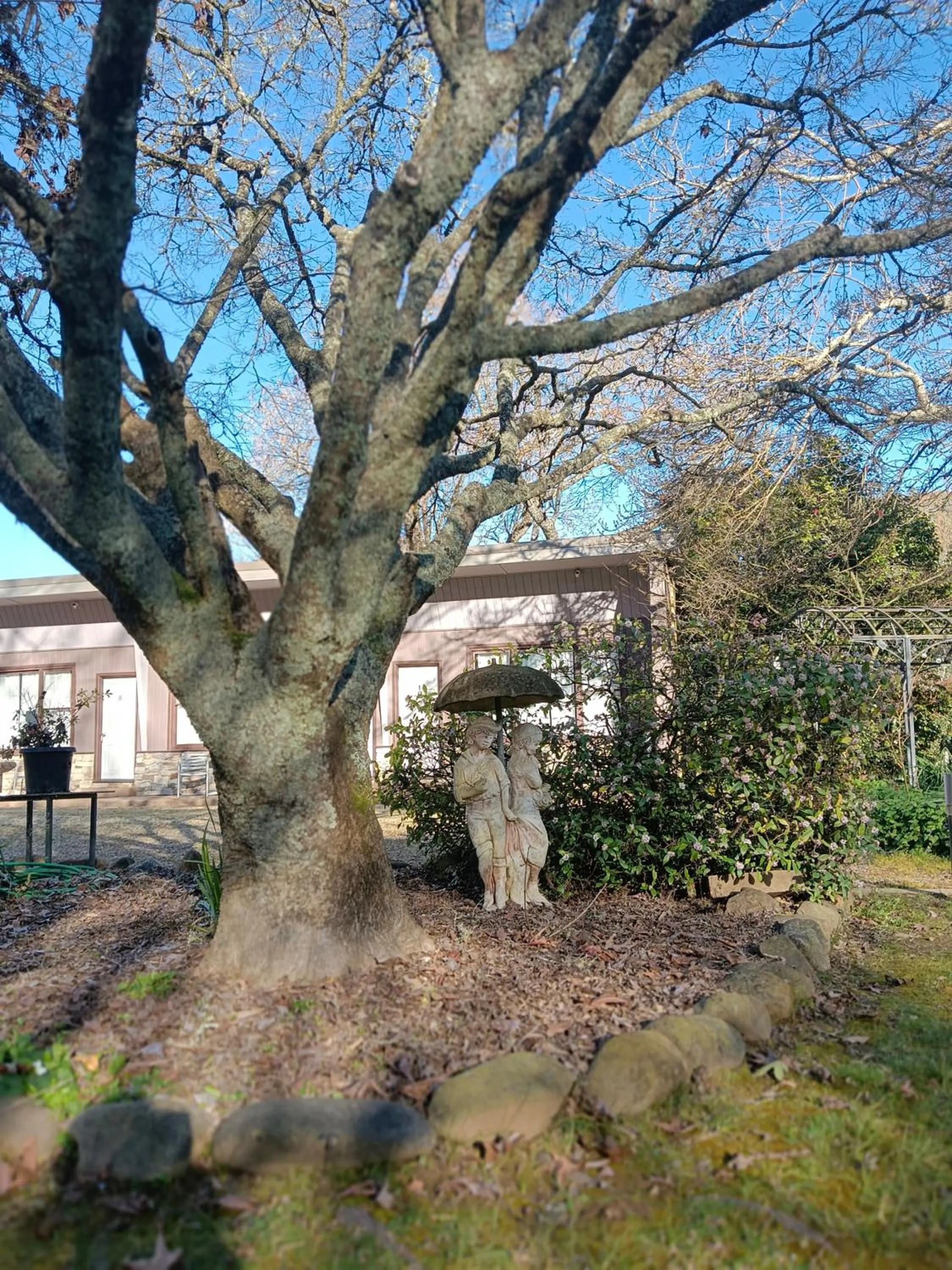 Garden in Buffalo Motel and Country Retreat