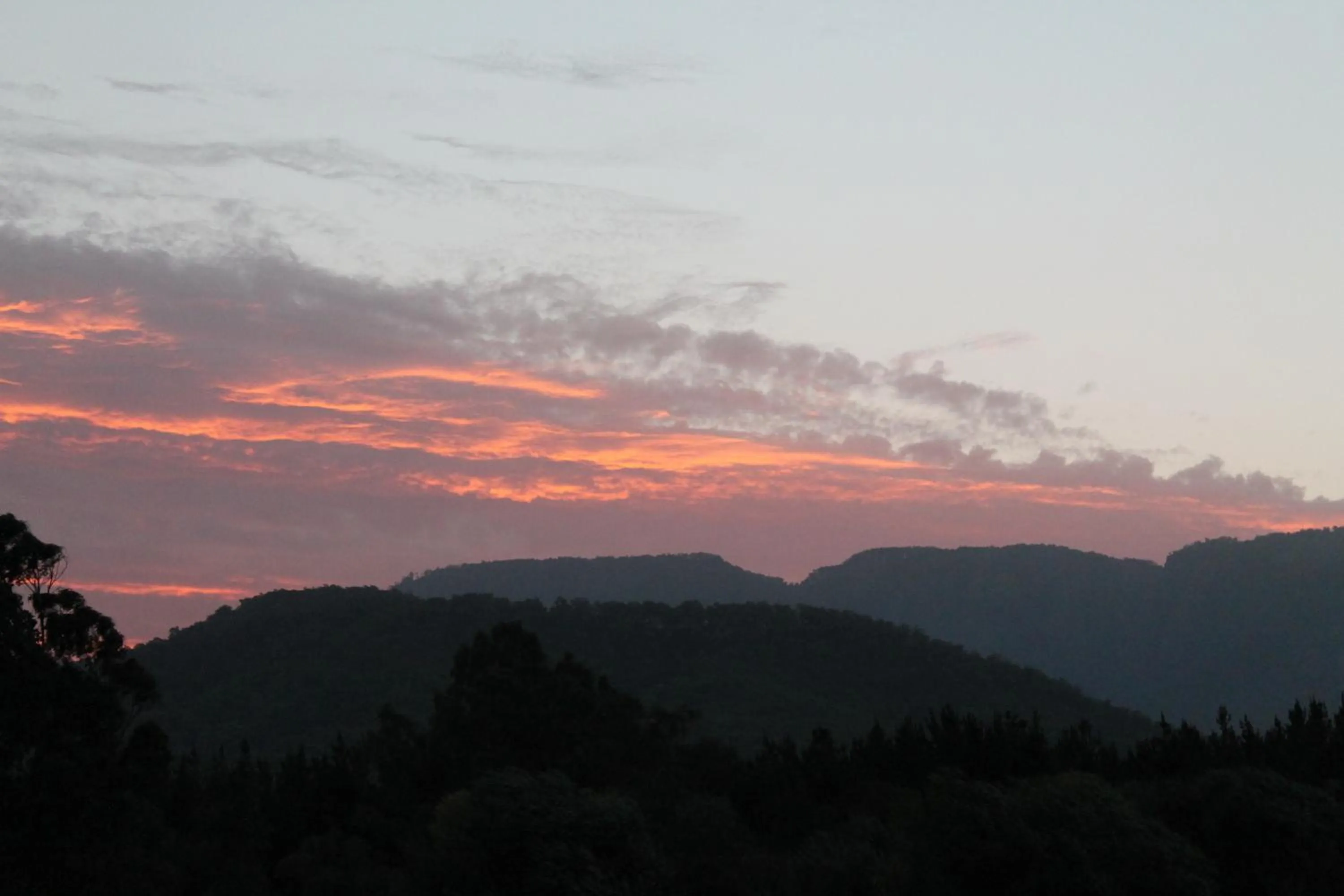 View (from property/room) in Buffalo Motel and Country Retreat