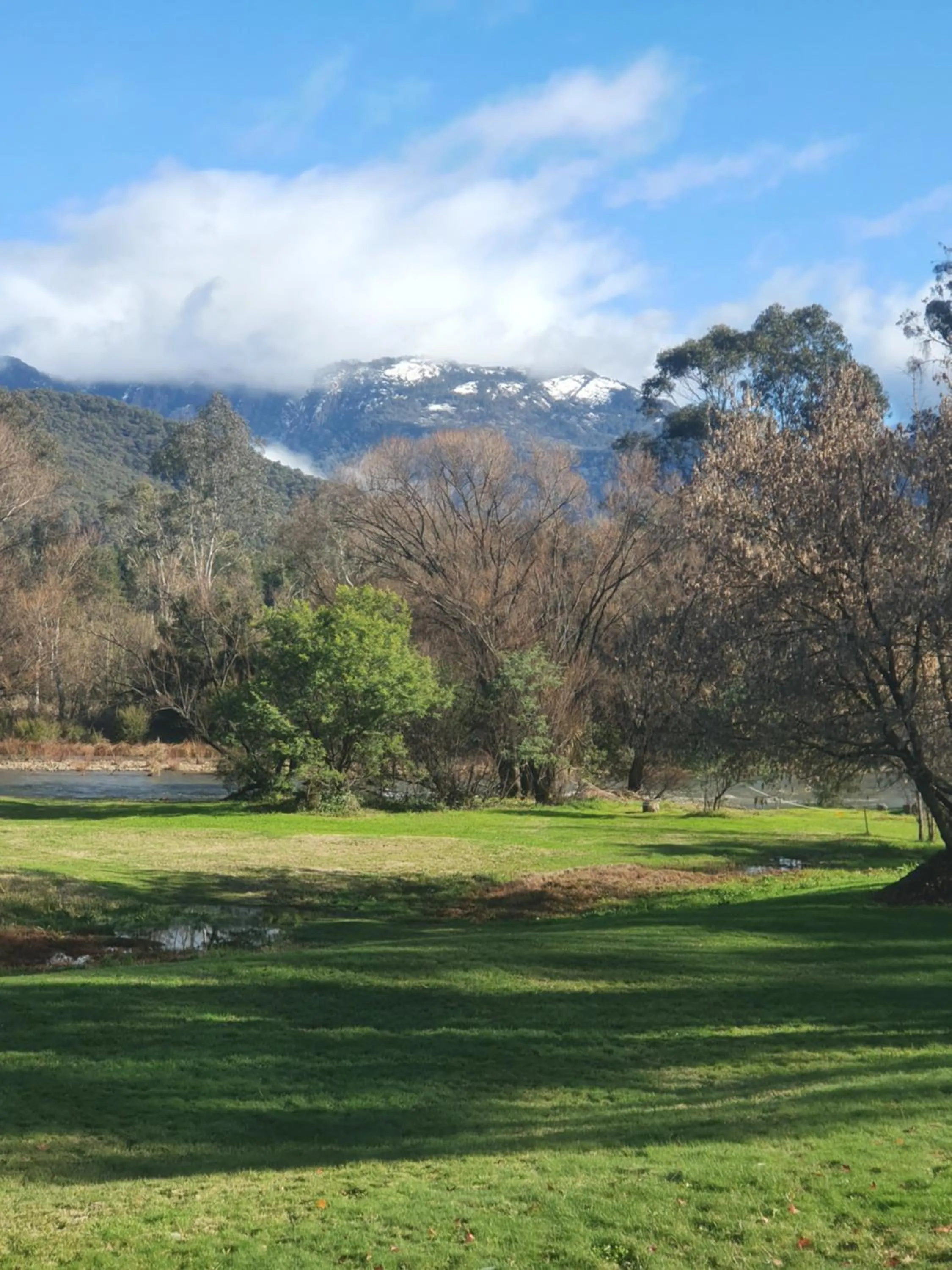 Buffalo Motel and Country Retreat