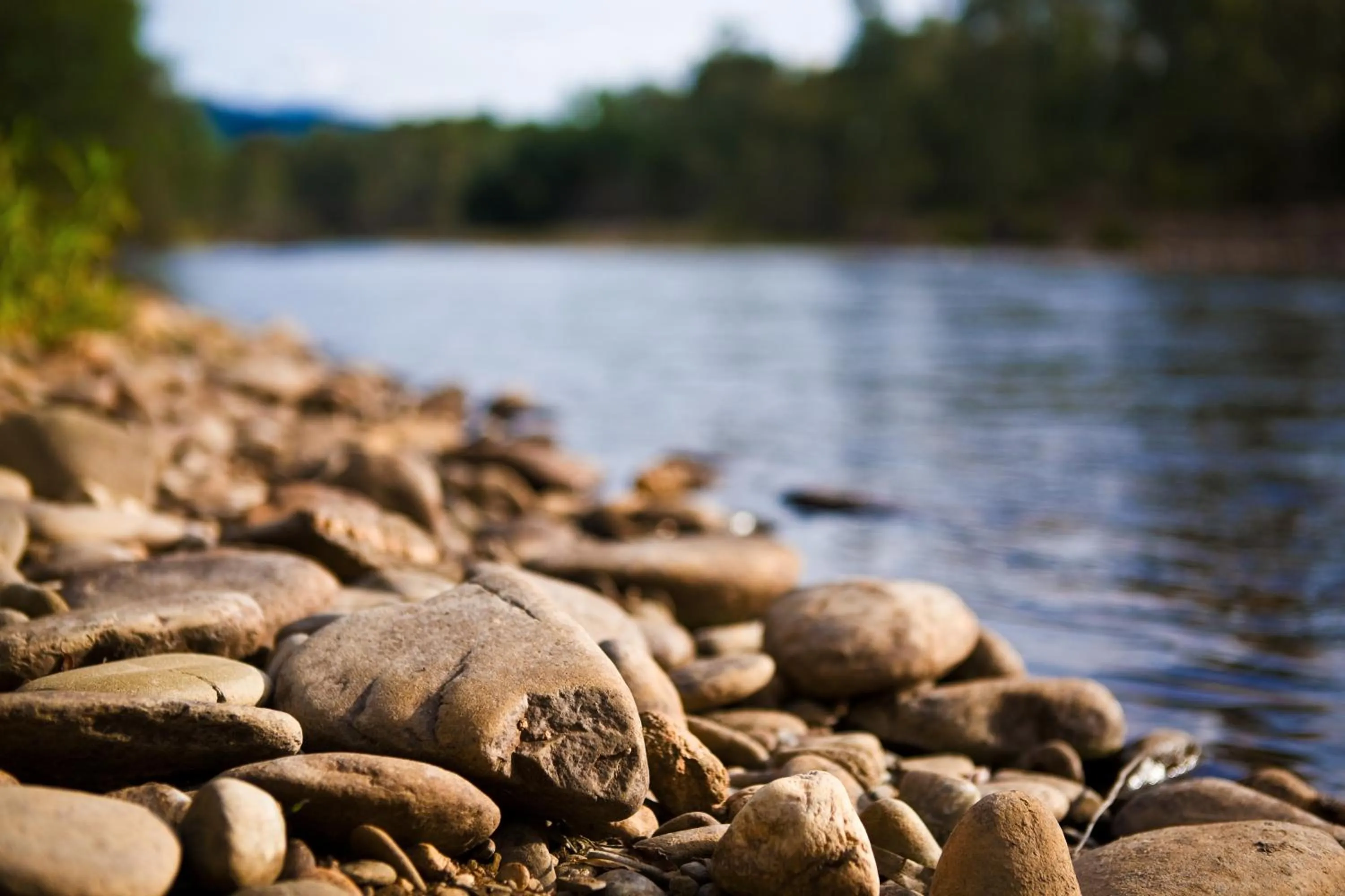 Area and facilities in Buffalo Motel and Country Retreat