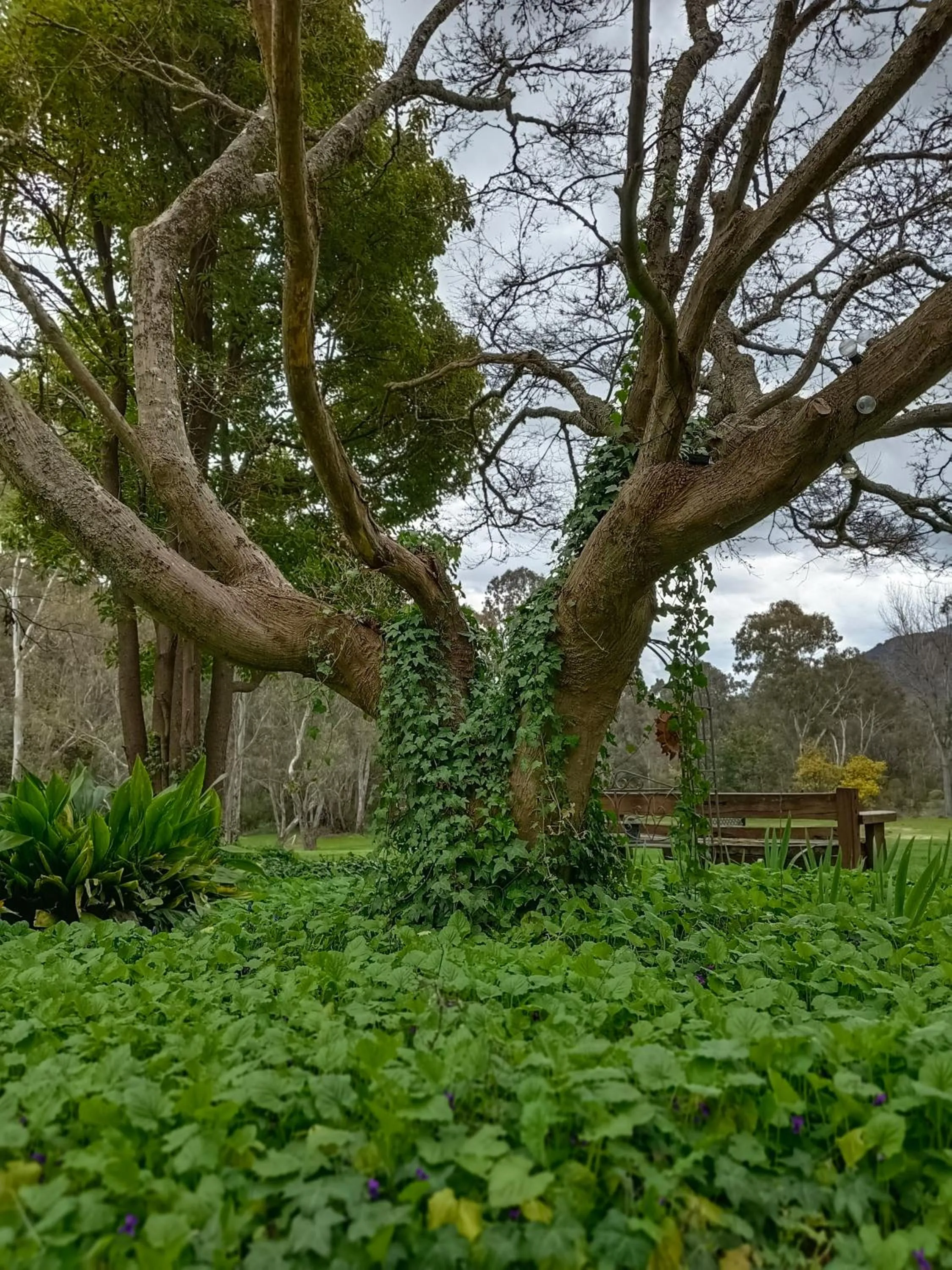 Garden in Buffalo Motel and Country Retreat