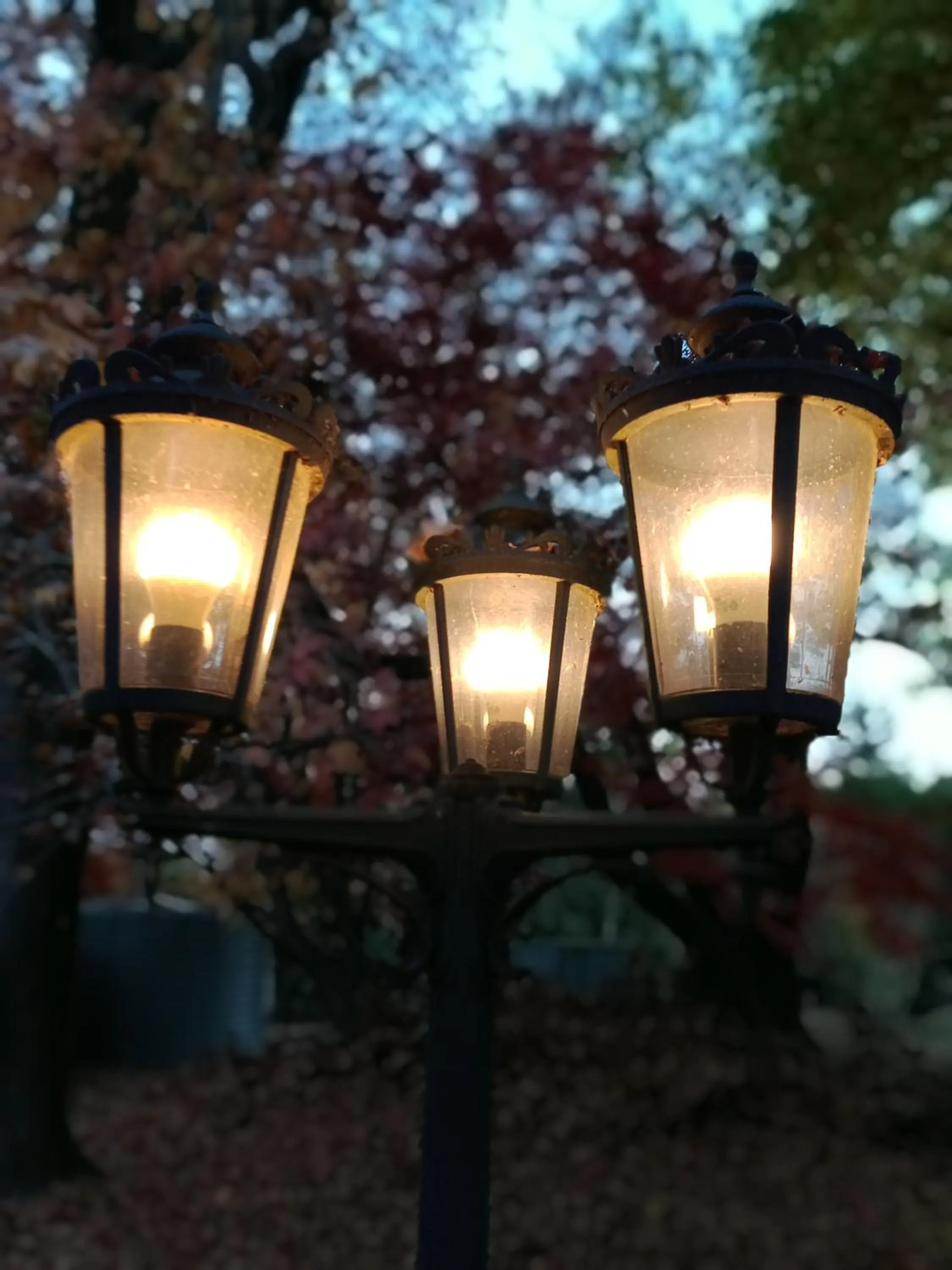 Buffalo Motel and Country Retreat