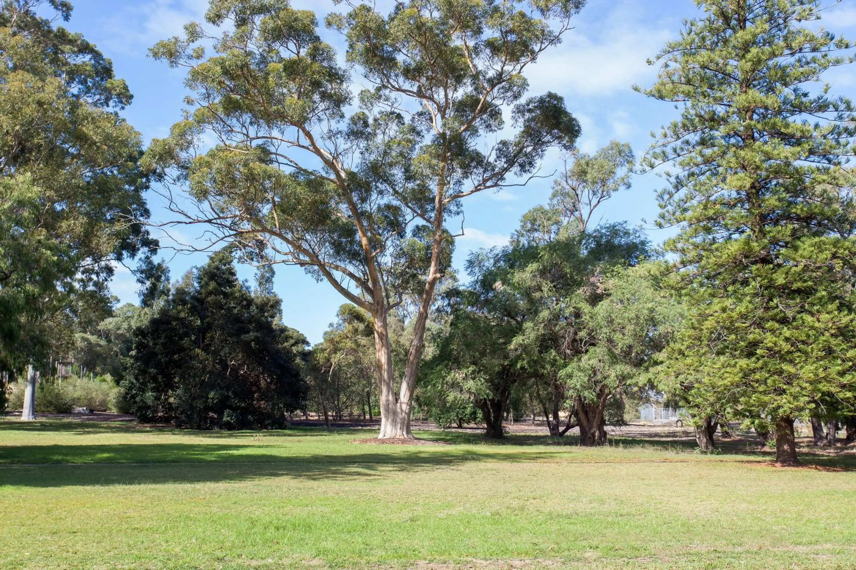 Landmark view in Kings Park Motel