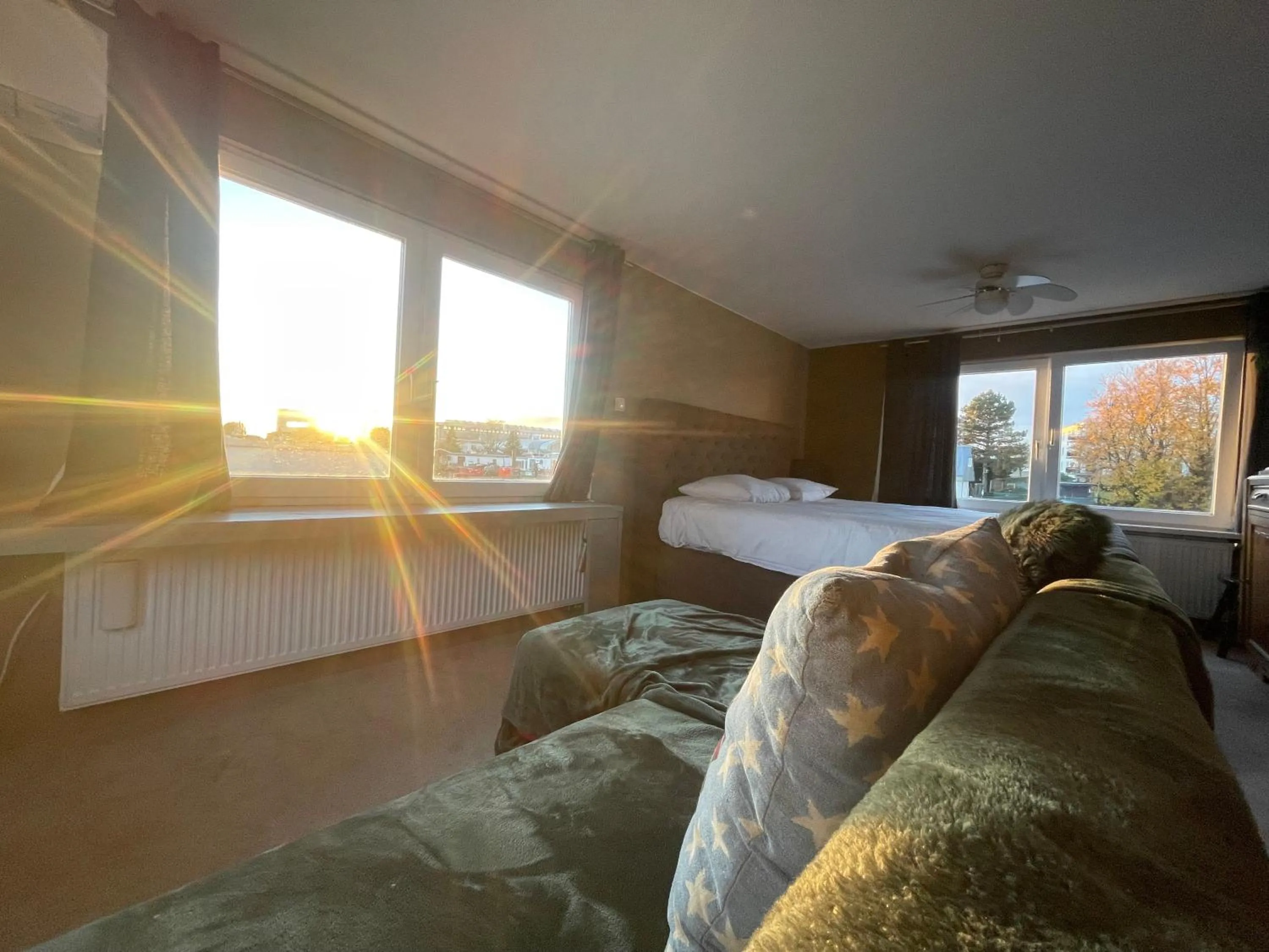 Bed in Amster Houseboat Bed without Breakfast