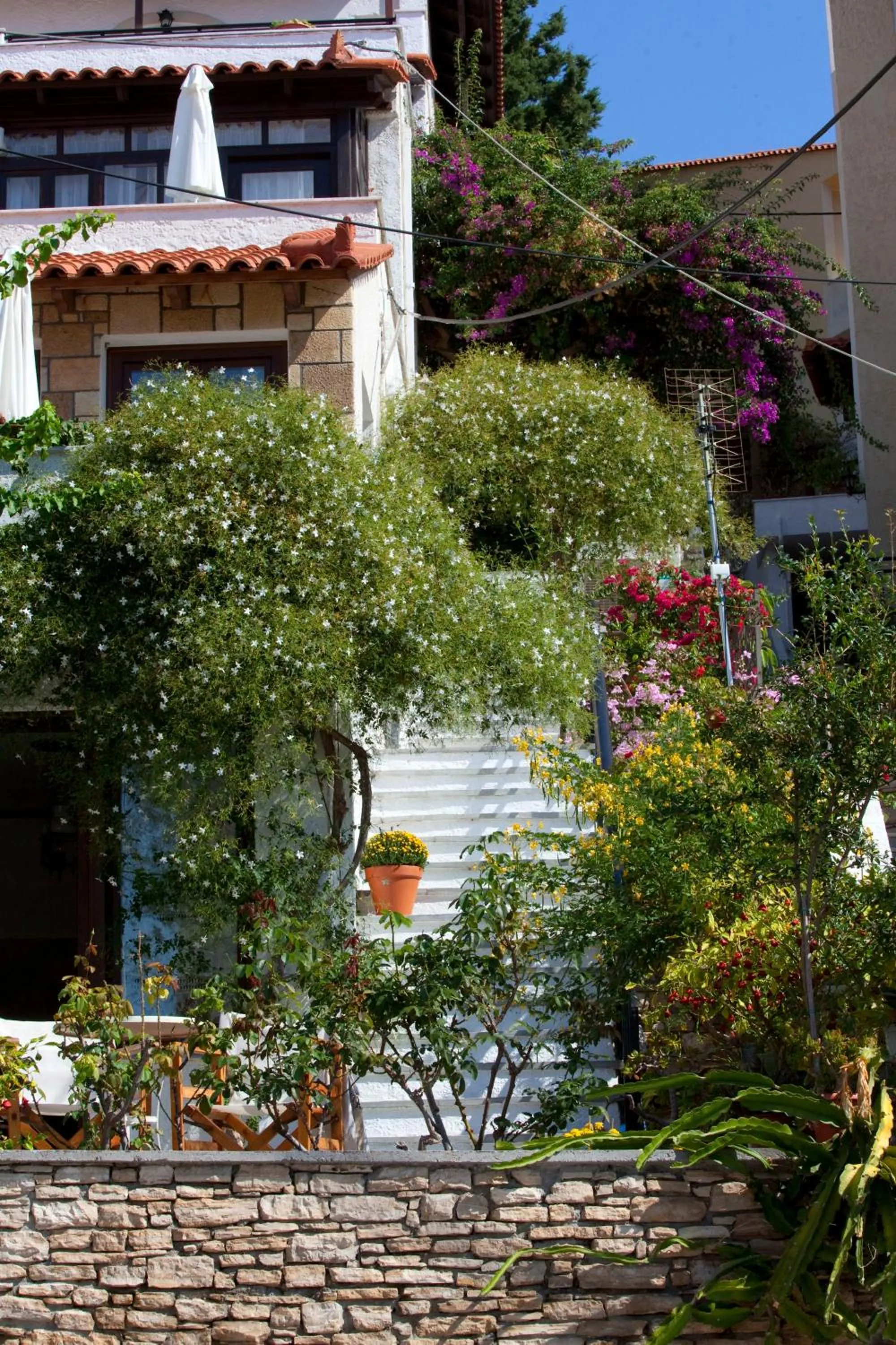 Facade/entrance in Notis Hotel