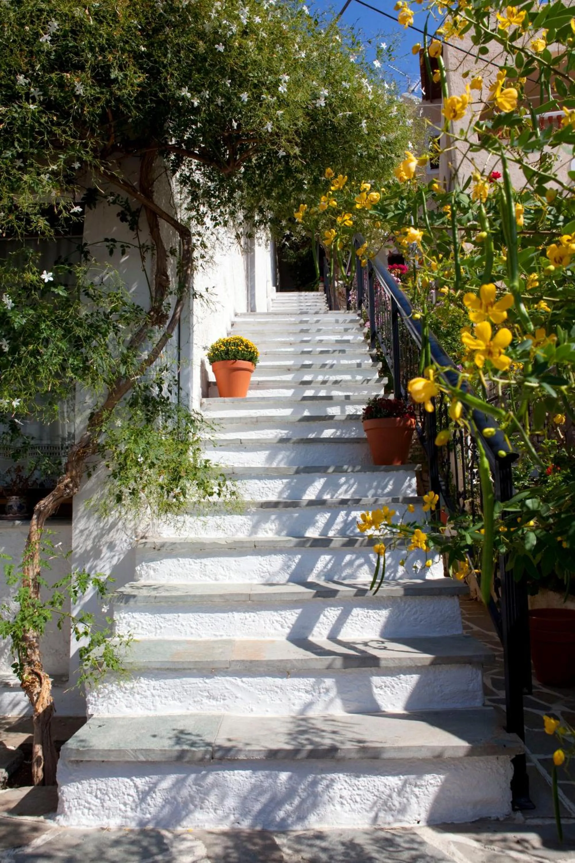 Area and facilities in Notis Hotel