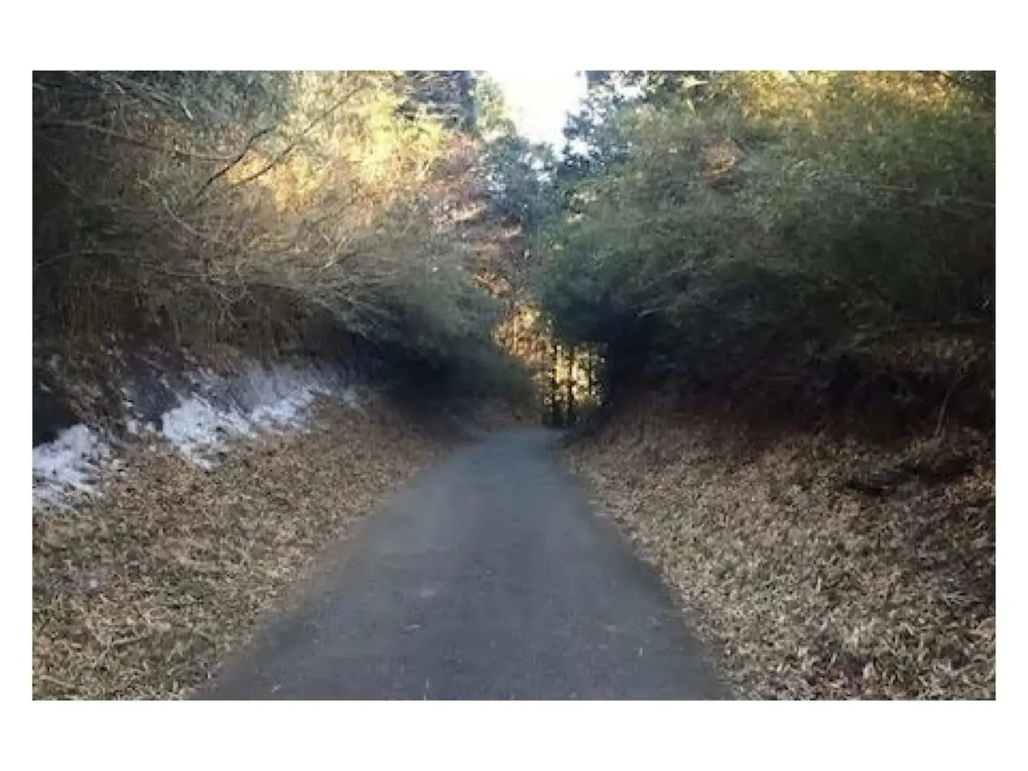 Trust Maison Sengokuhara - Vacation STAY 32251v