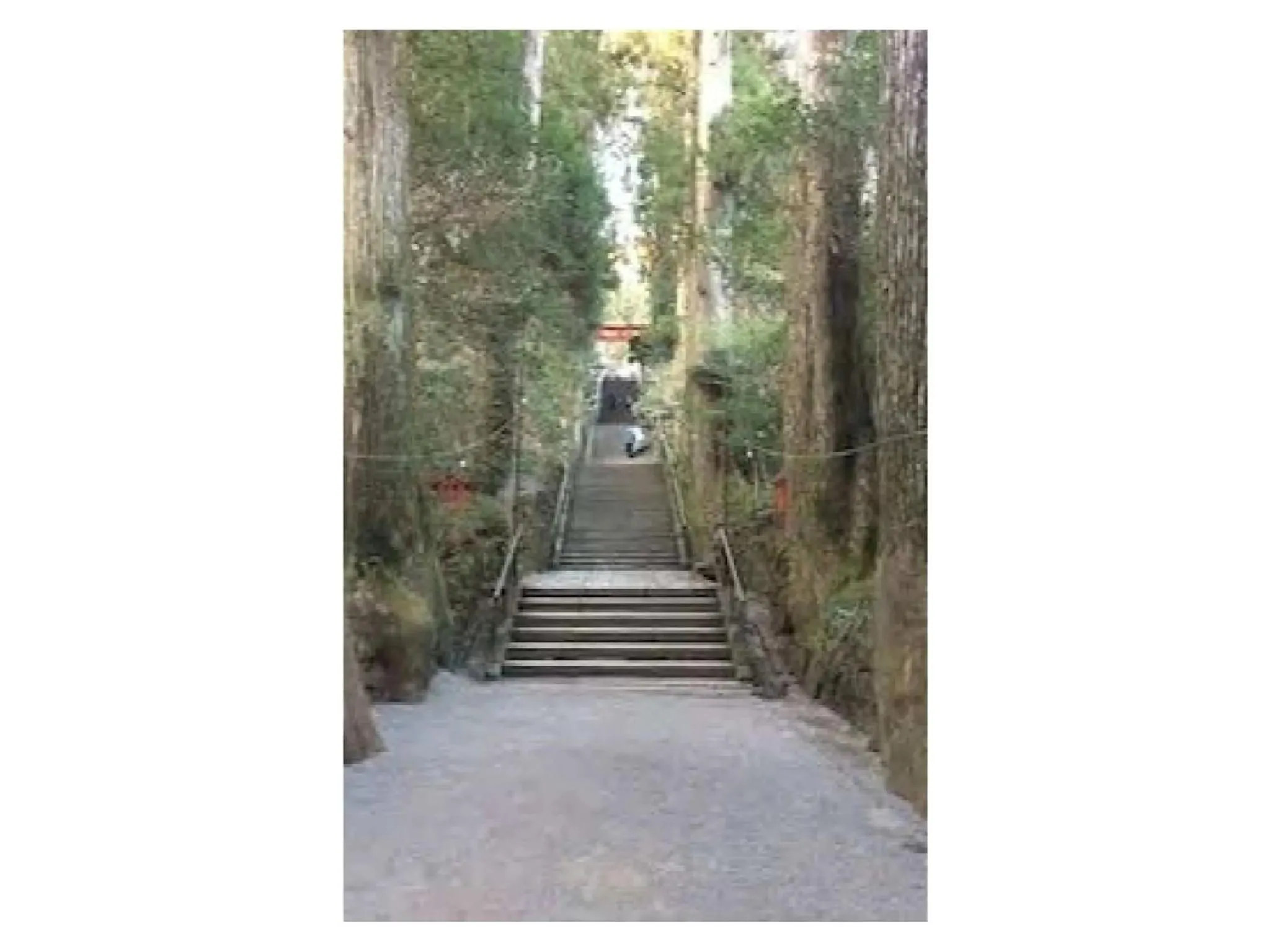 Trust Maison Sengokuhara - Vacation STAY 32251v