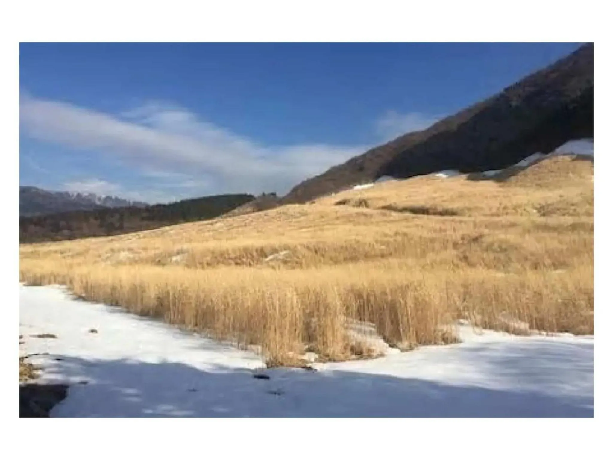 Trust Maison Sengokuhara - Vacation STAY 32251v