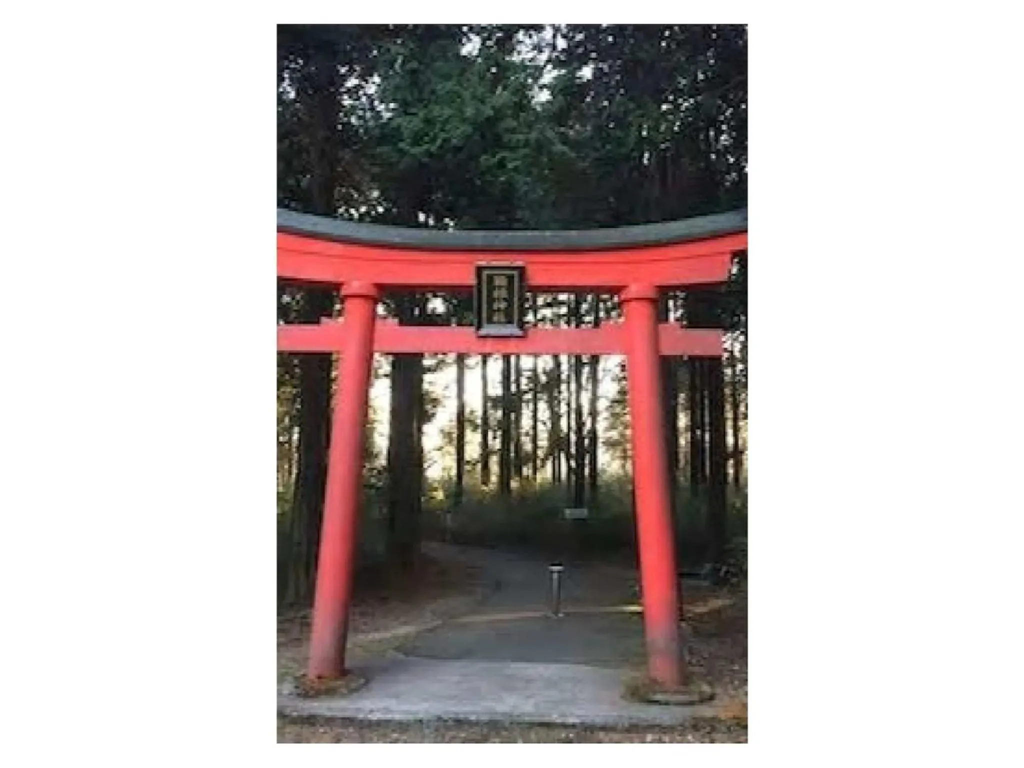 Trust Maison Sengokuhara - Vacation STAY 32251v