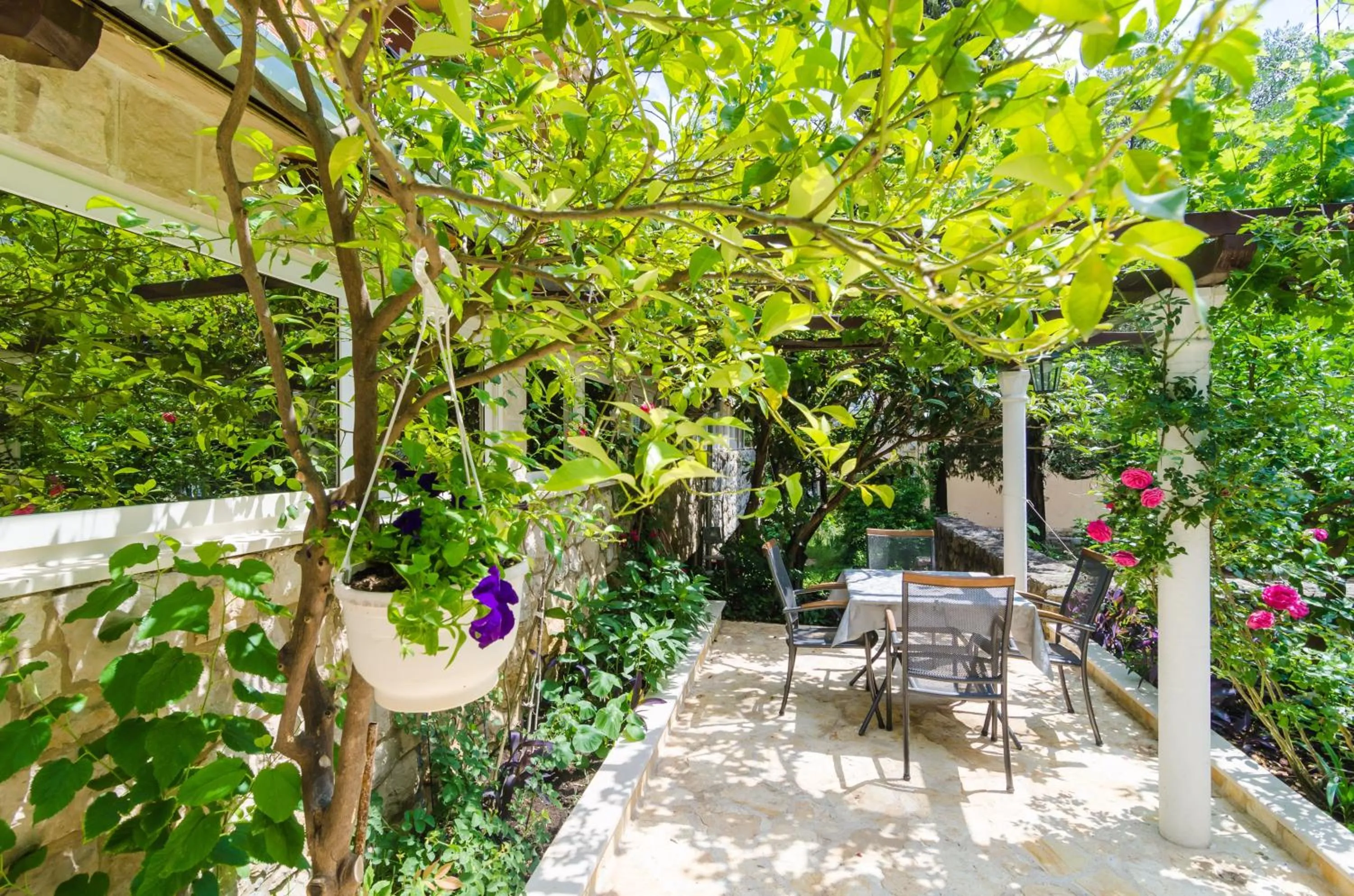 Balcony/Terrace in Camelia Luxury Apartments
