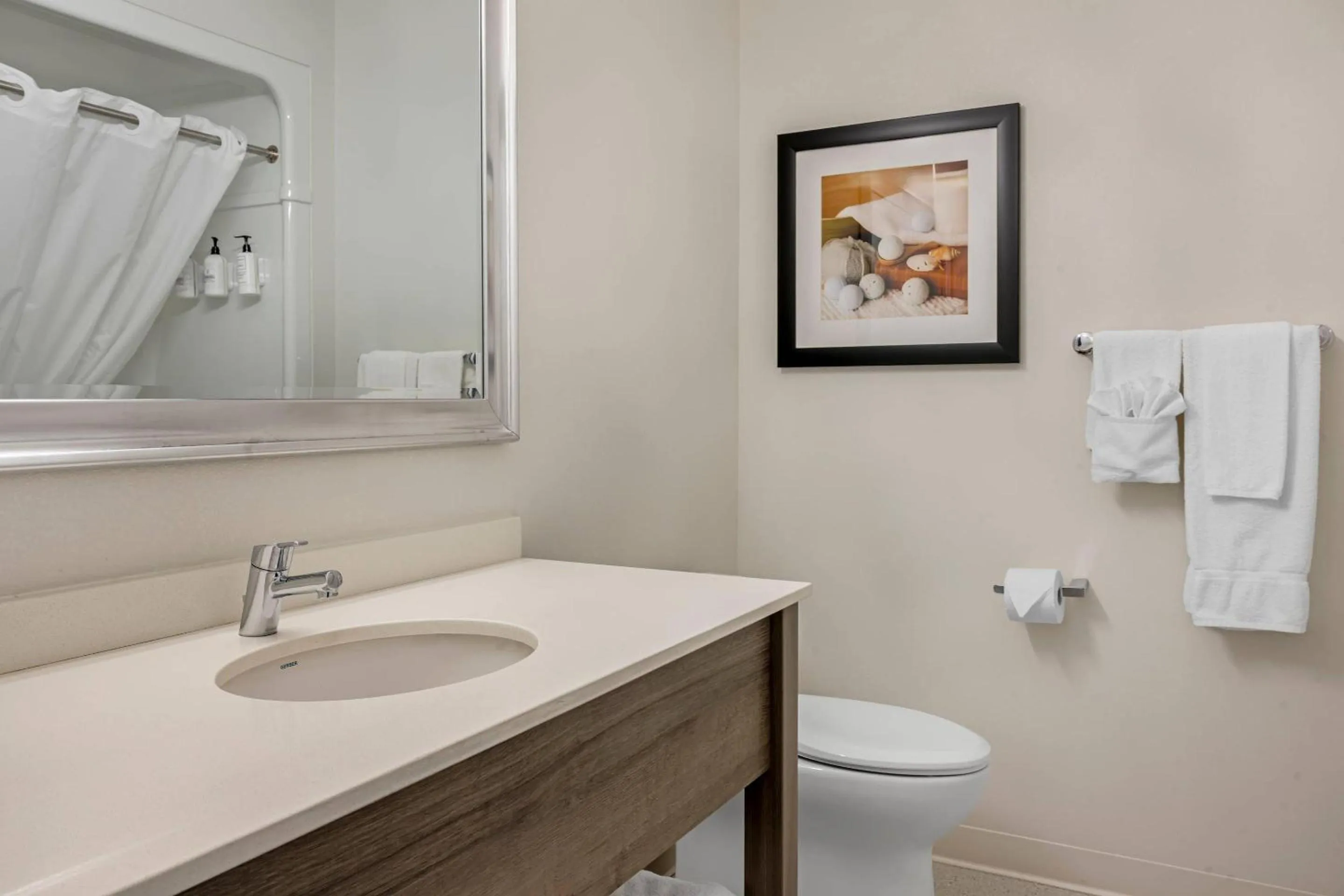 Bedroom in Amsterdam Inn & Suites, an Ascend Collection Hotel