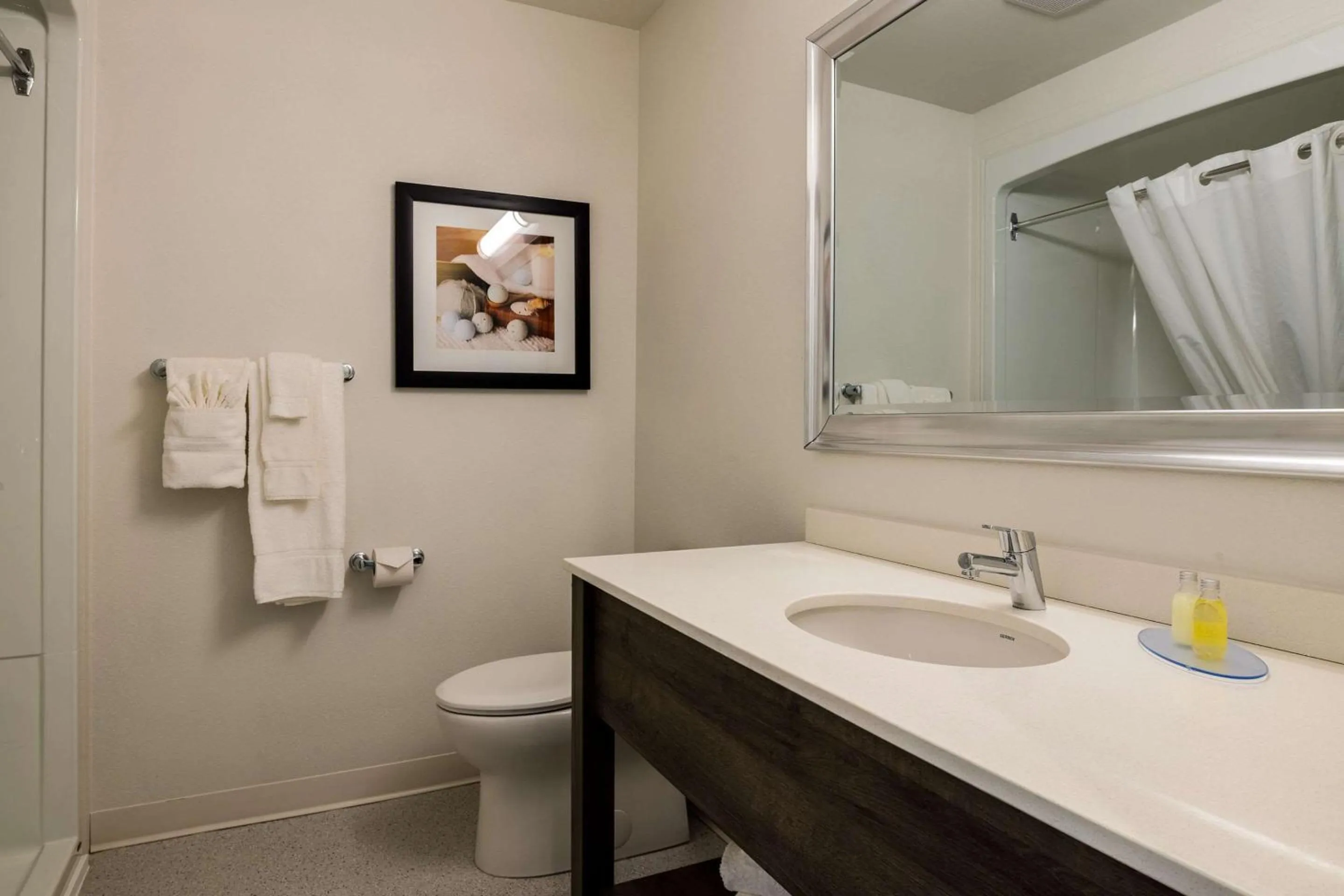 Bedroom in Amsterdam Inn & Suites, an Ascend Collection Hotel