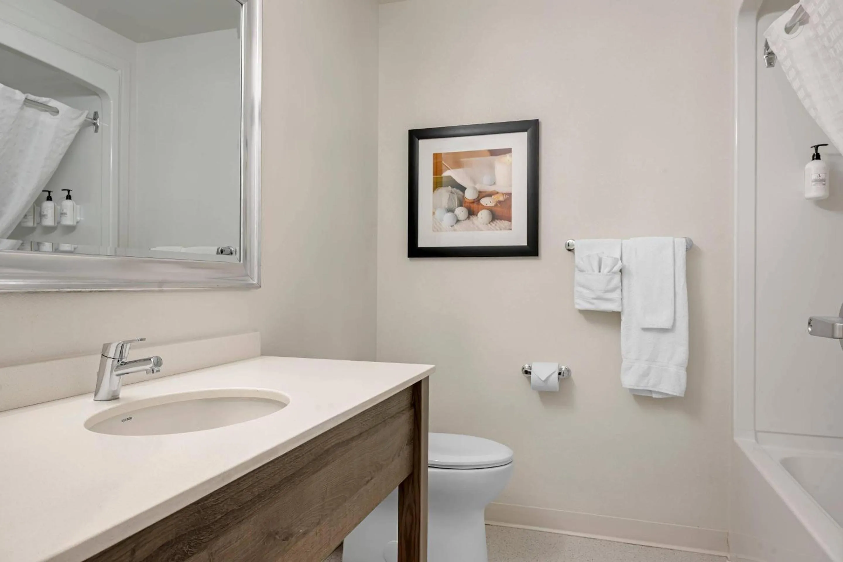 Bedroom in Amsterdam Inn & Suites, an Ascend Collection Hotel