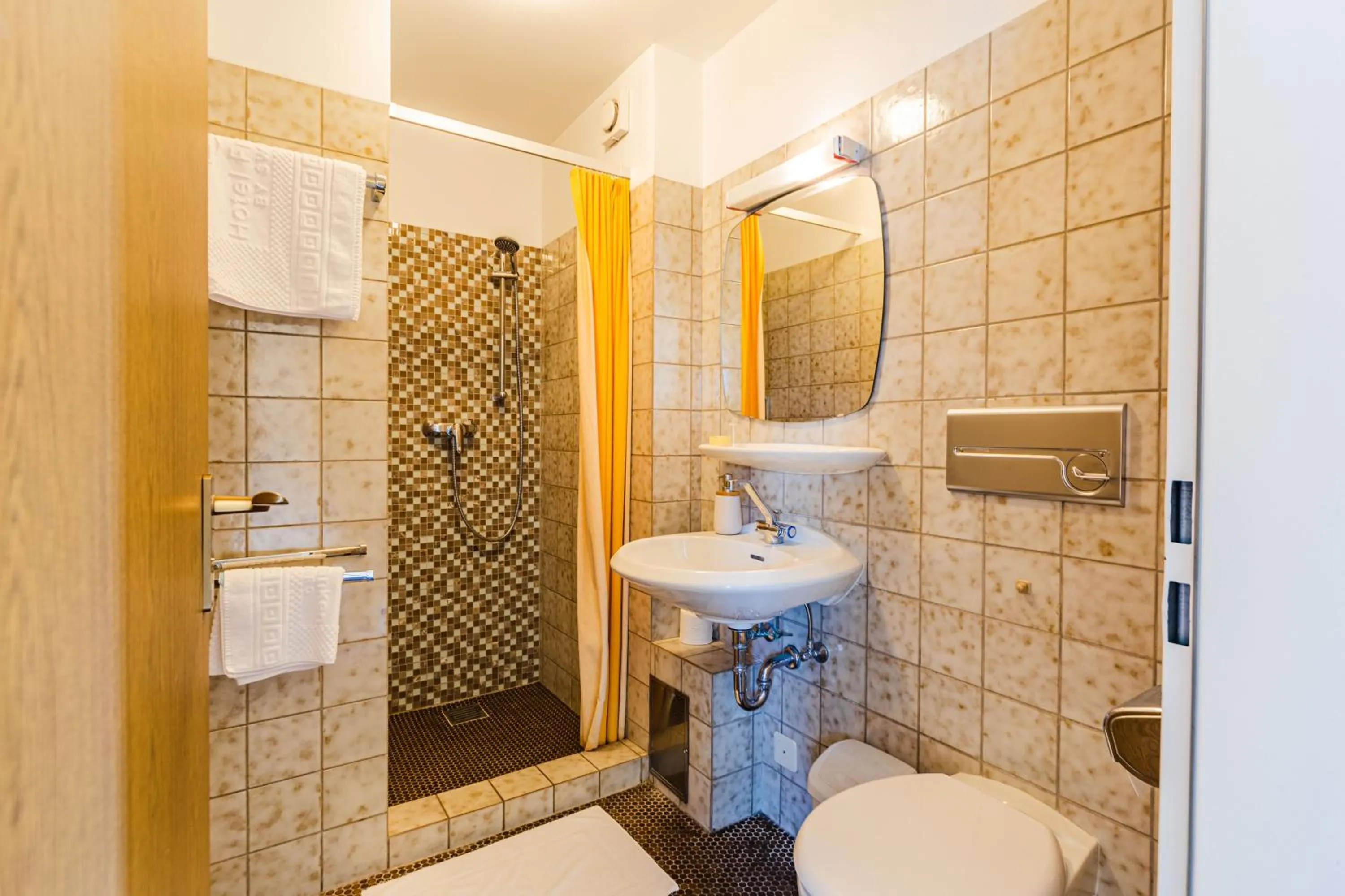 Shower in Hotel Franken