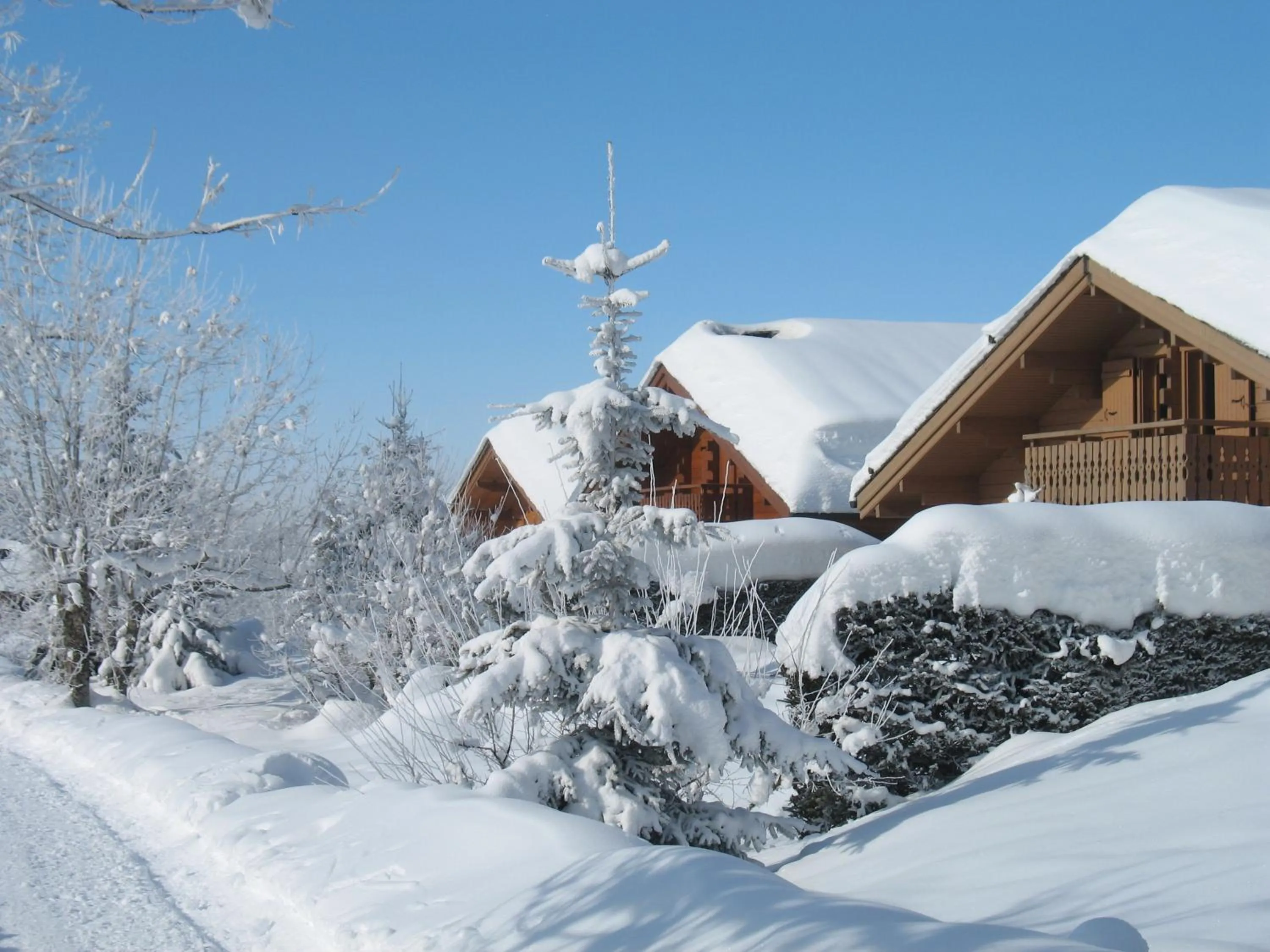 Area and facilities in Hôtel Bellachat