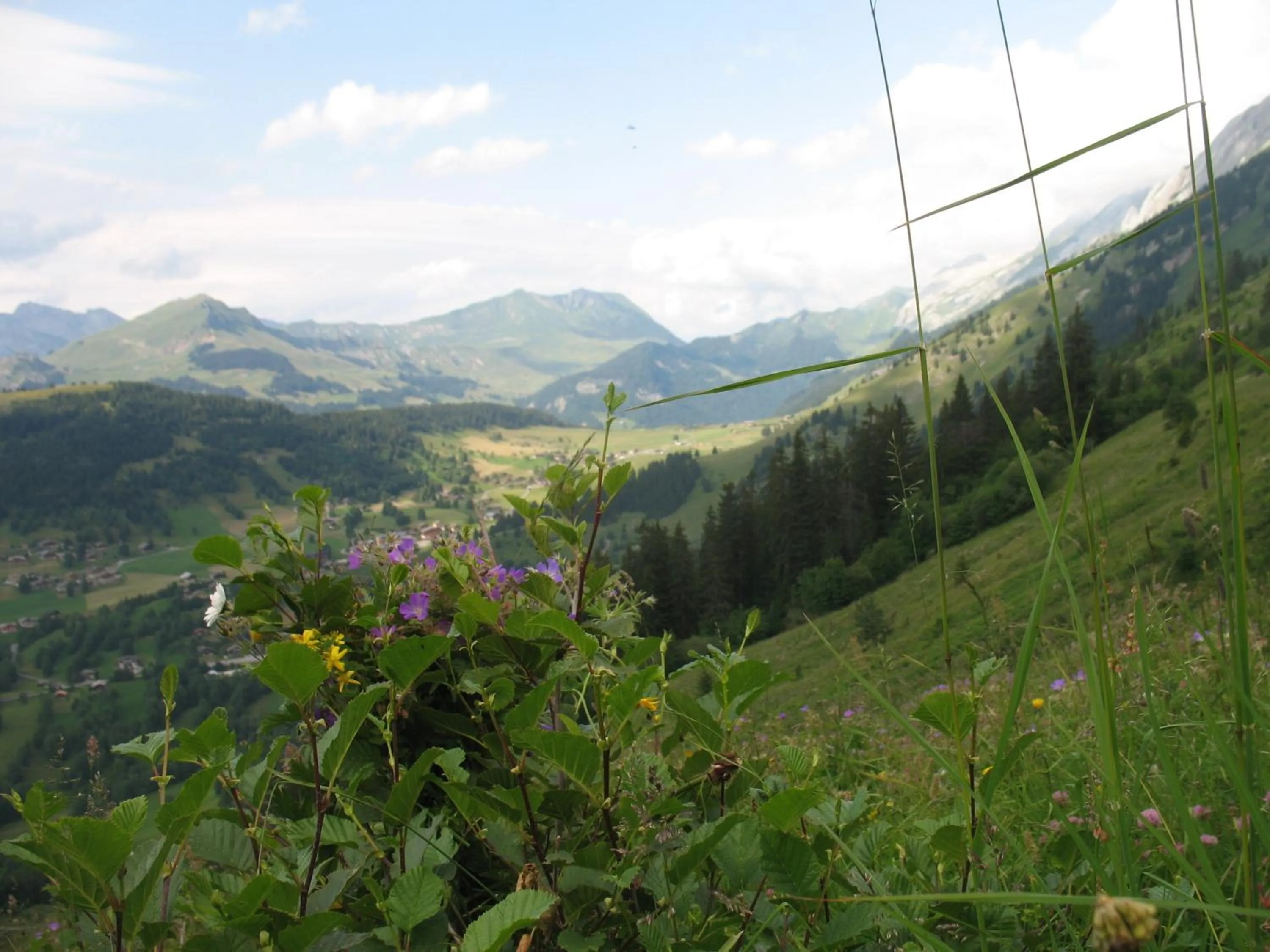 Area and facilities in Hôtel Bellachat