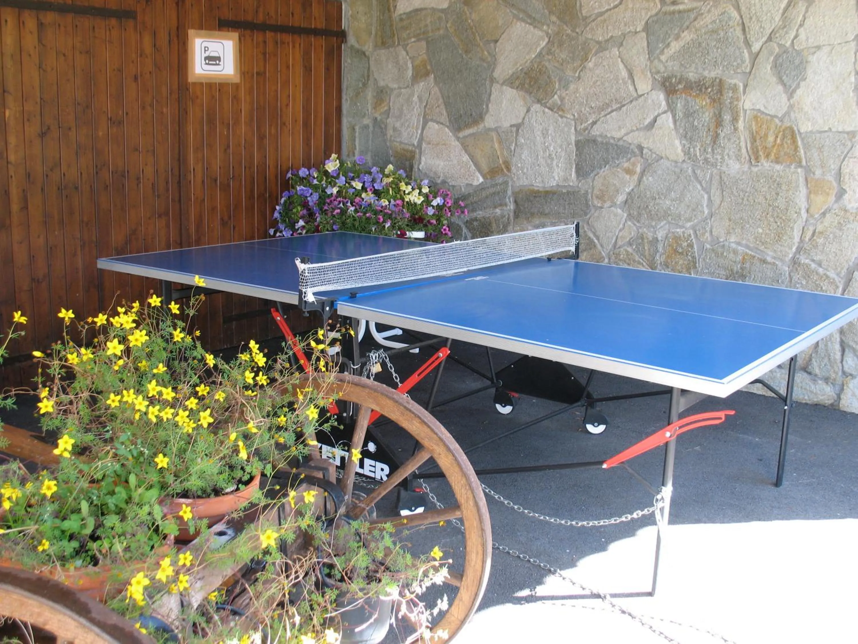 Game Room in Hôtel Bellachat