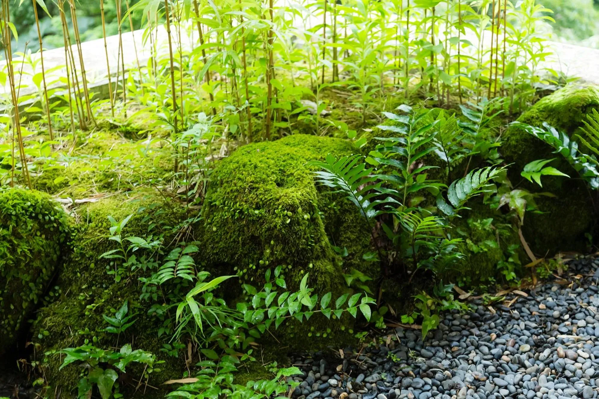 Hakone Yumoto Onsen Hotel Kajikaso
