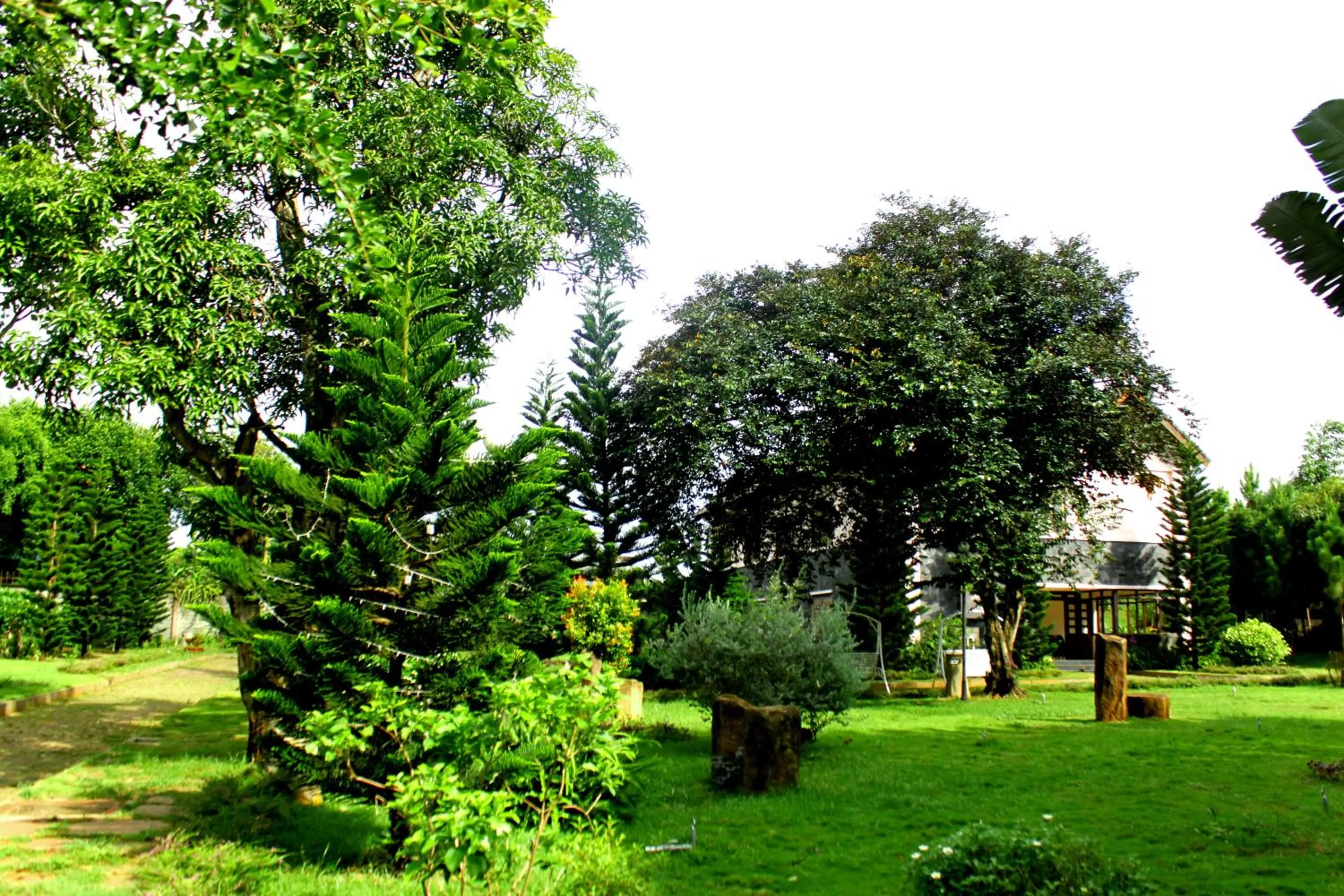 Garden in Trung Nguyên Coffee Resort