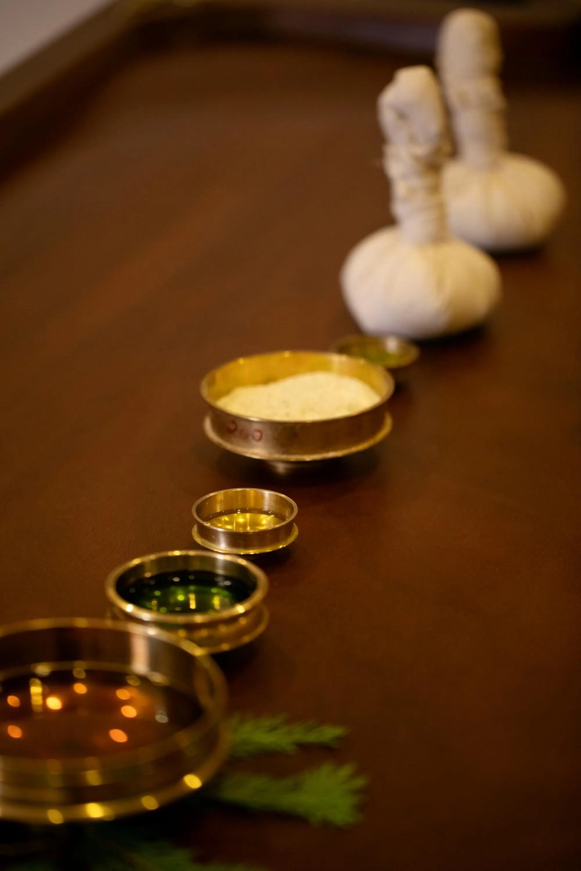 Spa and wellness centre/facilities in Au Revoir Wellness Resort, Malampuzha