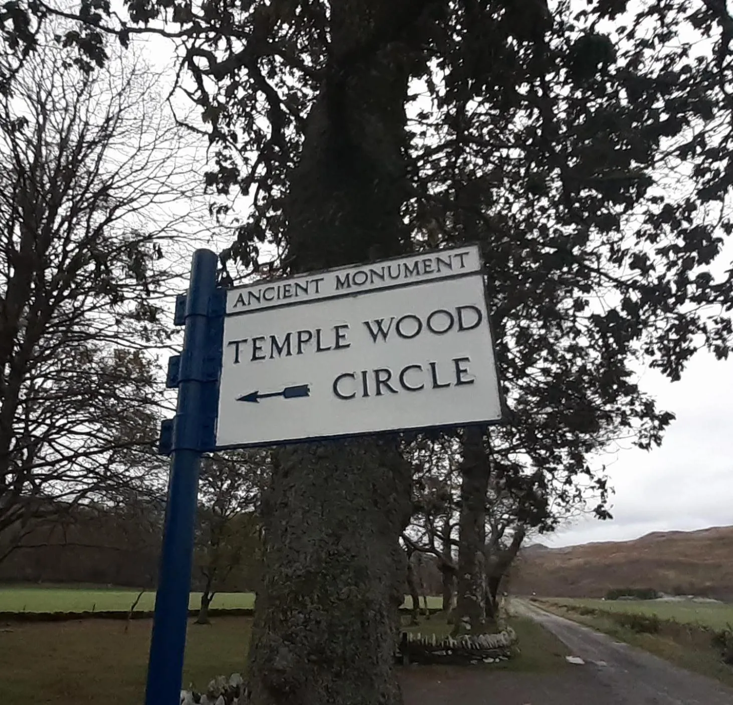 THE BOTHY SUITE BY TEMPLE WOOD