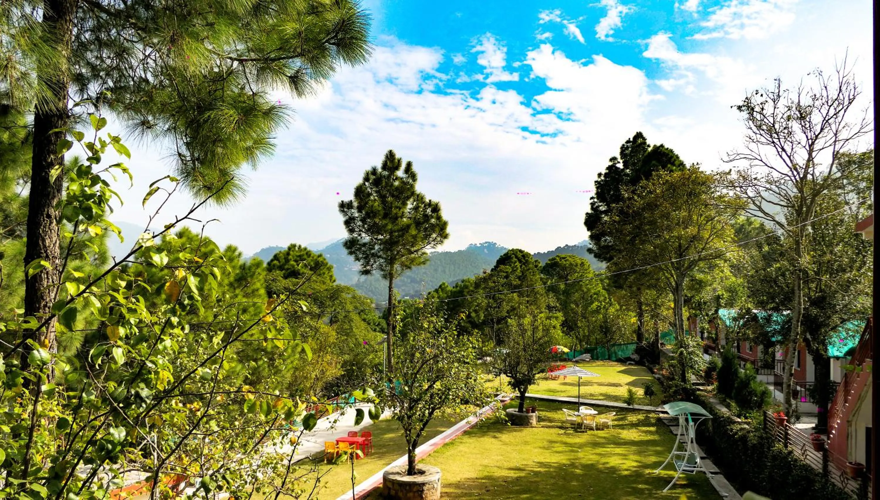 View (from property/room) in Kasauli Nature Inn