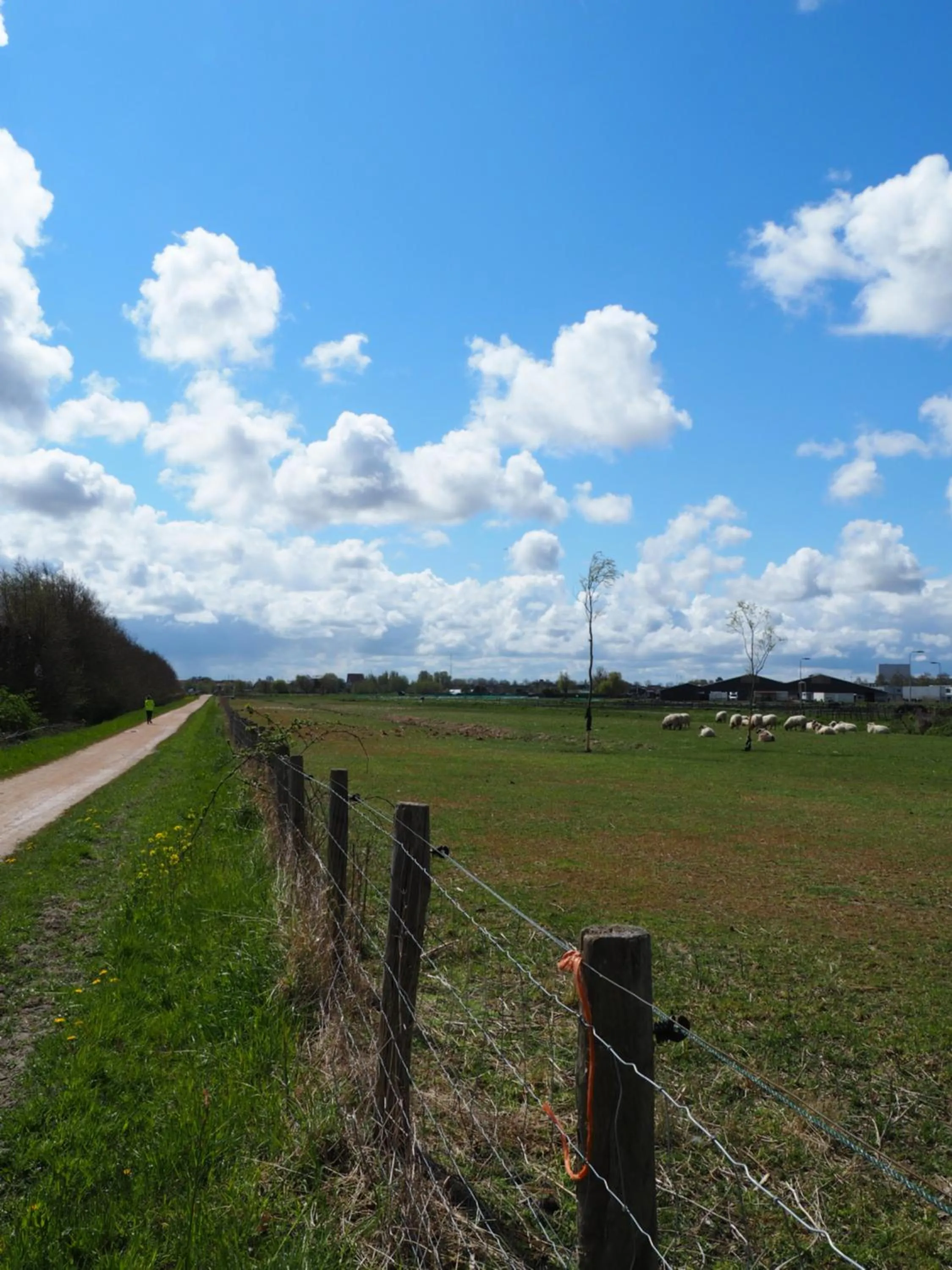 Hiking in Polderlodge