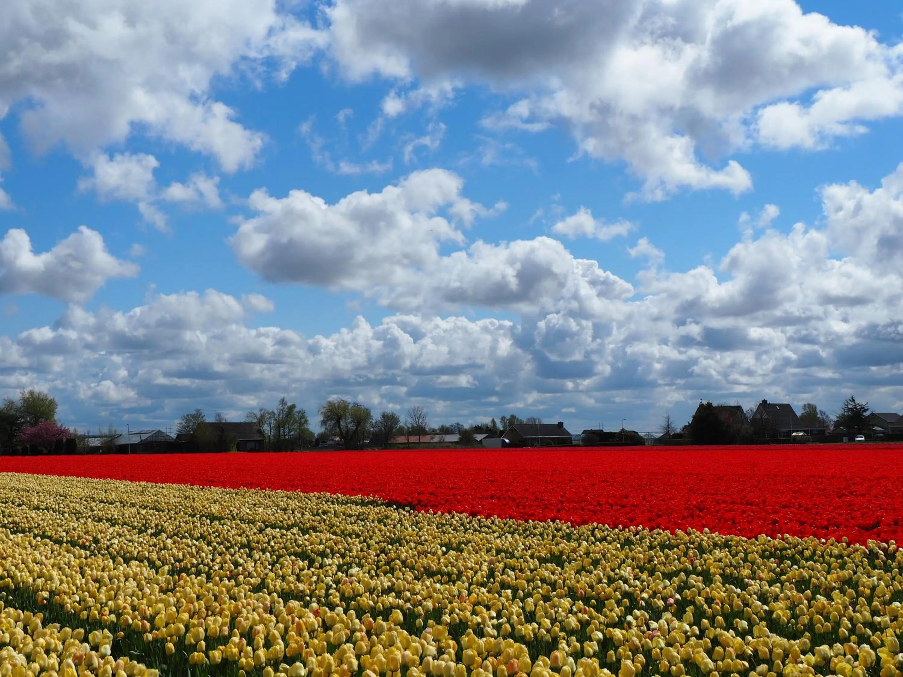 Natural landscape in Polderlodge