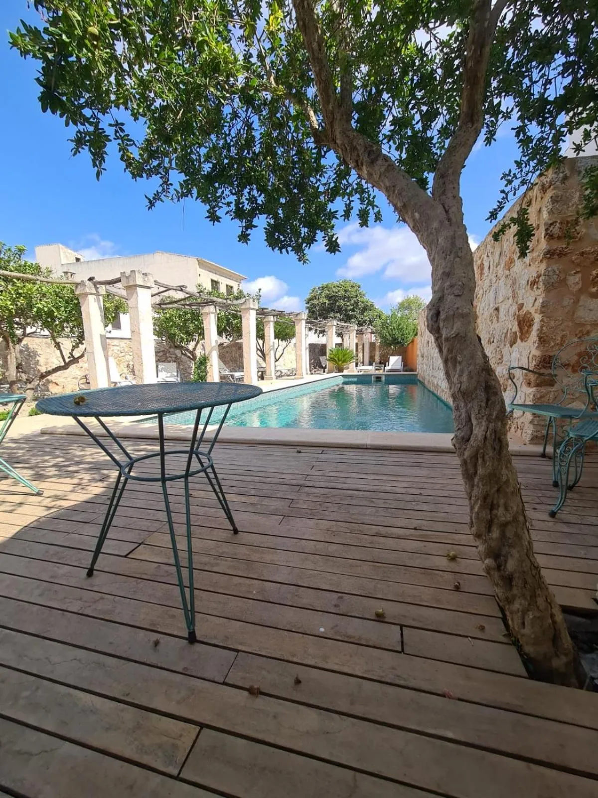 Swimming pool in PETIT HOTEL ALGAIDA
