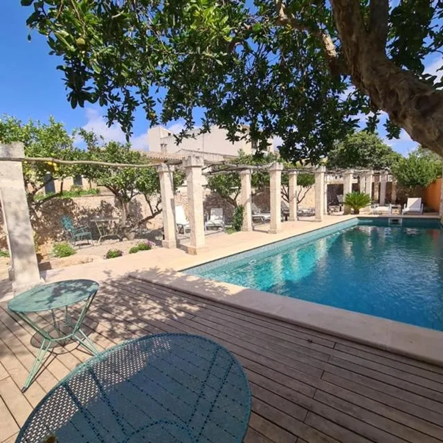 Swimming pool in PETIT HOTEL ALGAIDA